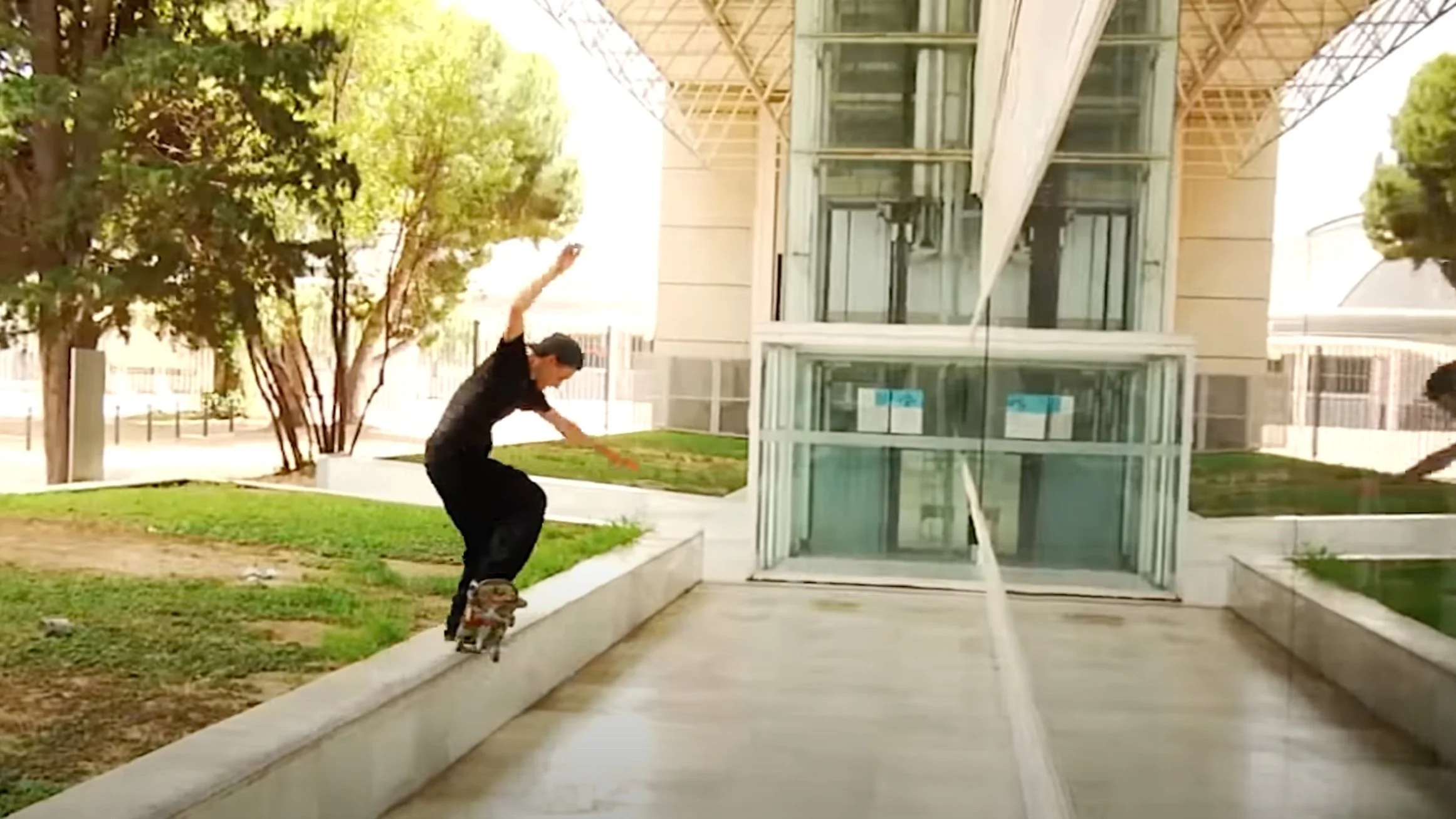 PEDRO ATTENBOROUGH | LIFE ON PLANET EARTH - Palace Skateboards