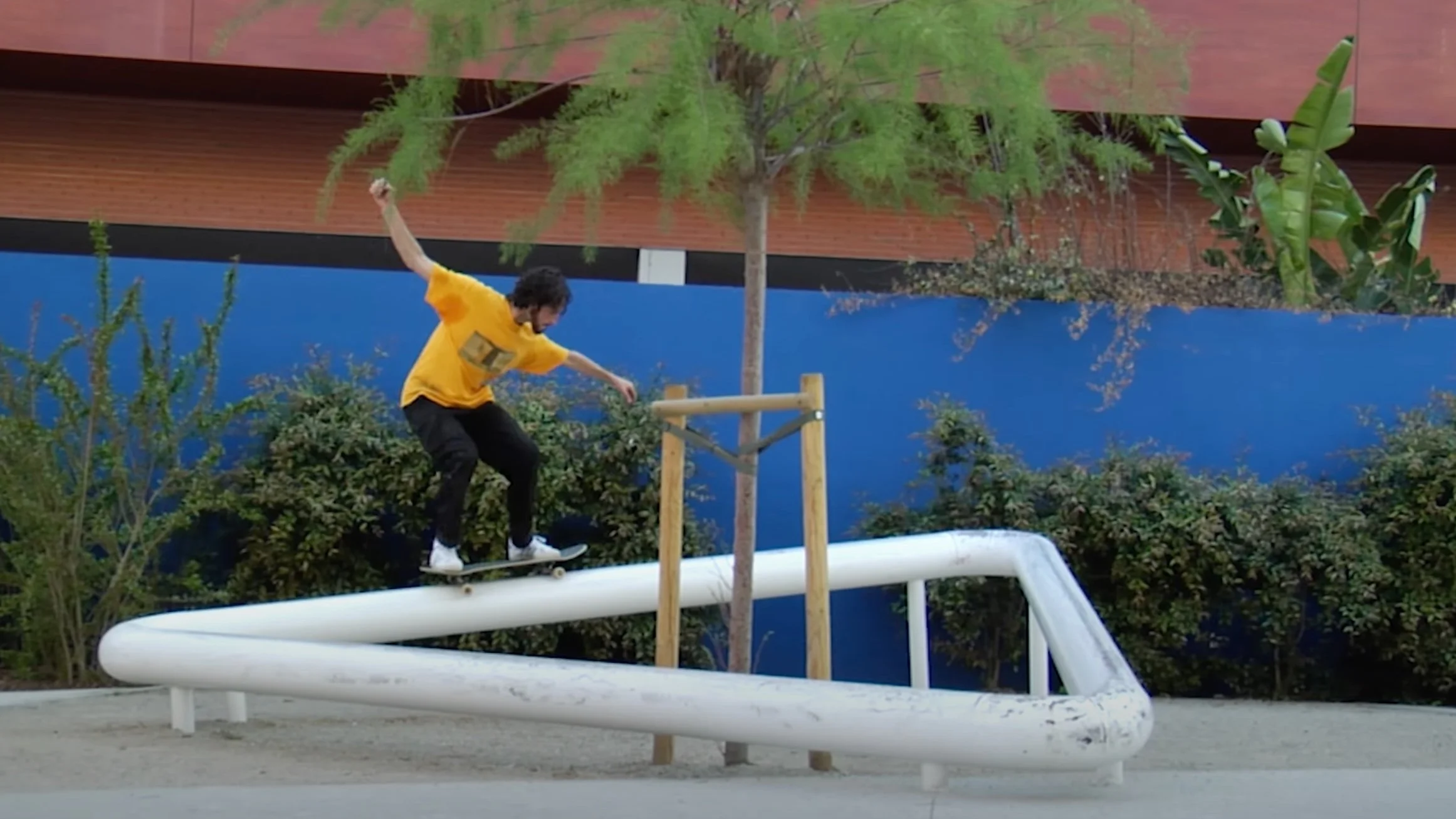 Ethan Loy | Next Generation Part - Bronson Speed Co.