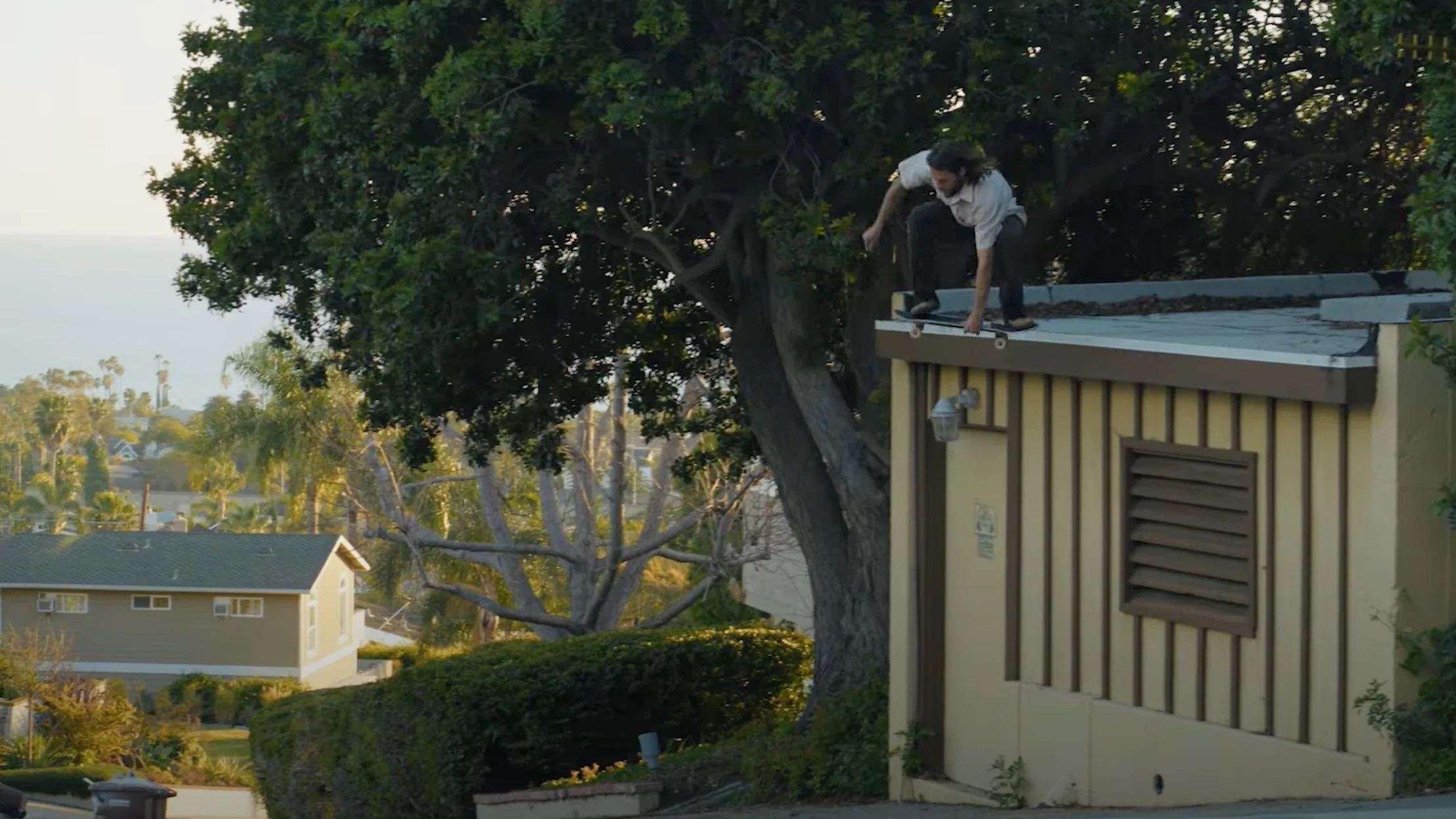 Ace Pelka | OJ Wheels