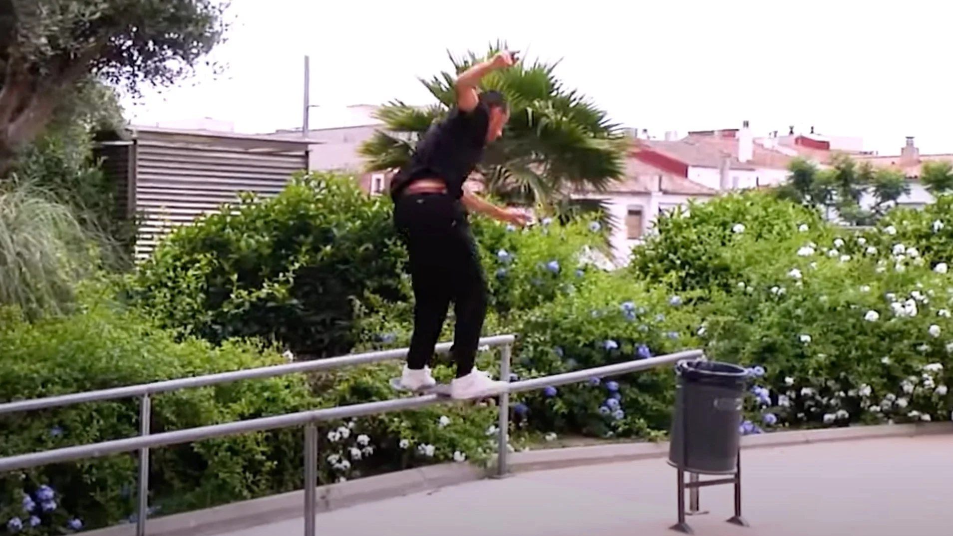 Petshop Skateboards | One Year