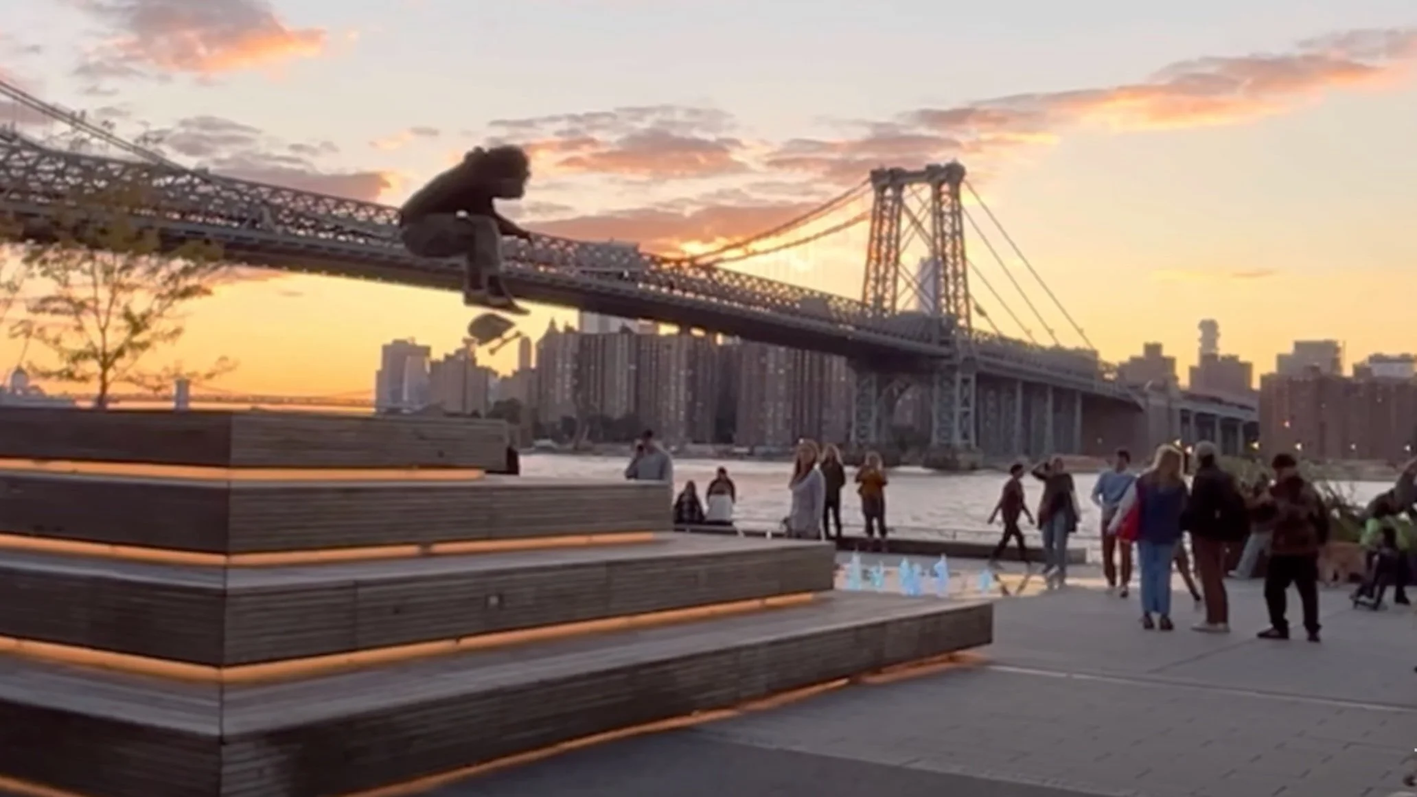 TORRO! Skateboards NYC | Team Montage 2023