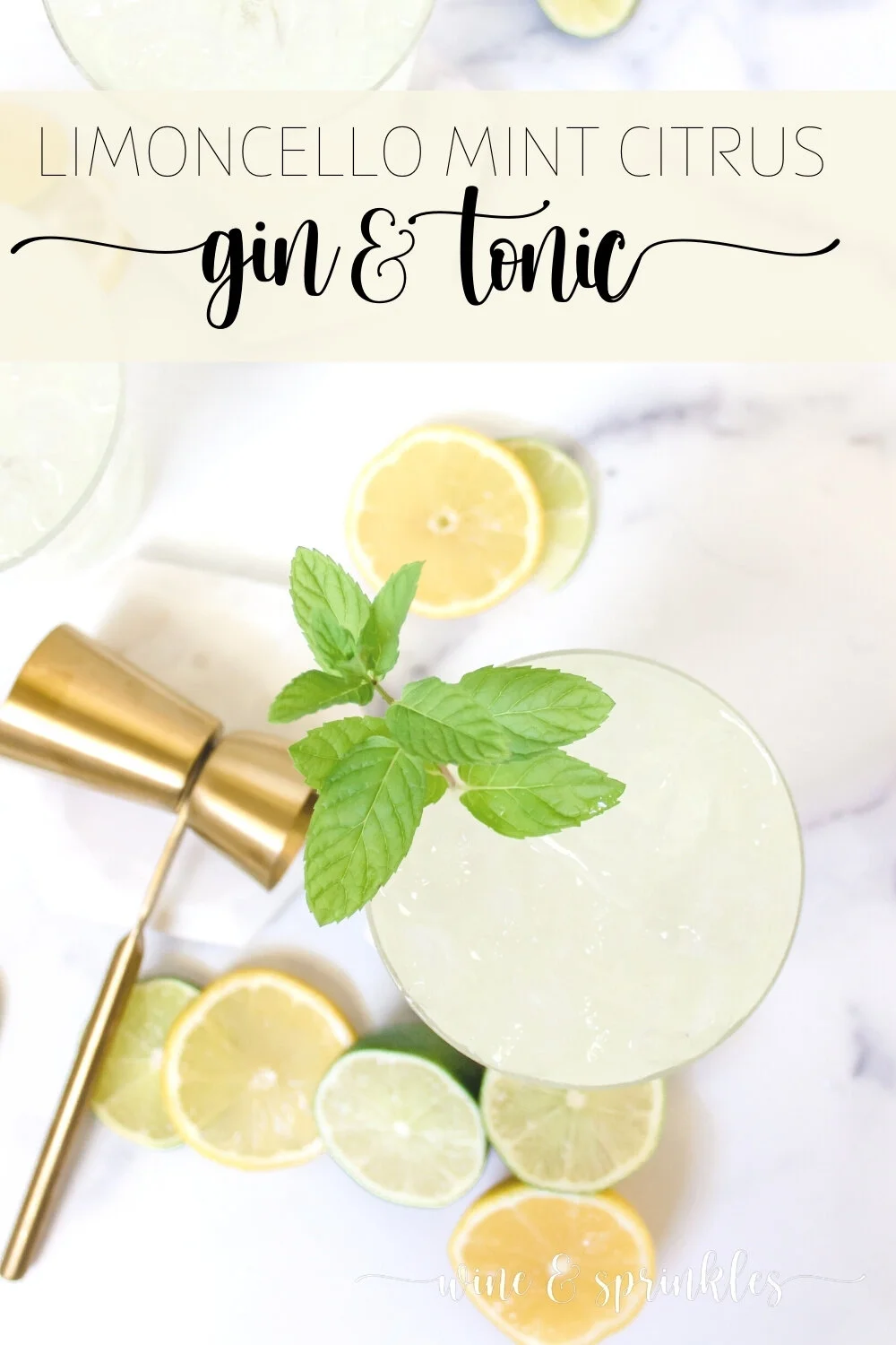 Limoncello Citrus Gin & Tonic — Wine & Sprinkles