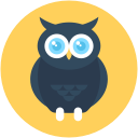 owl.png