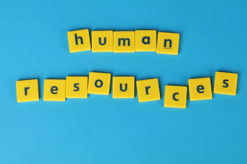 9 Essential HR Services Offered by armhr Providers