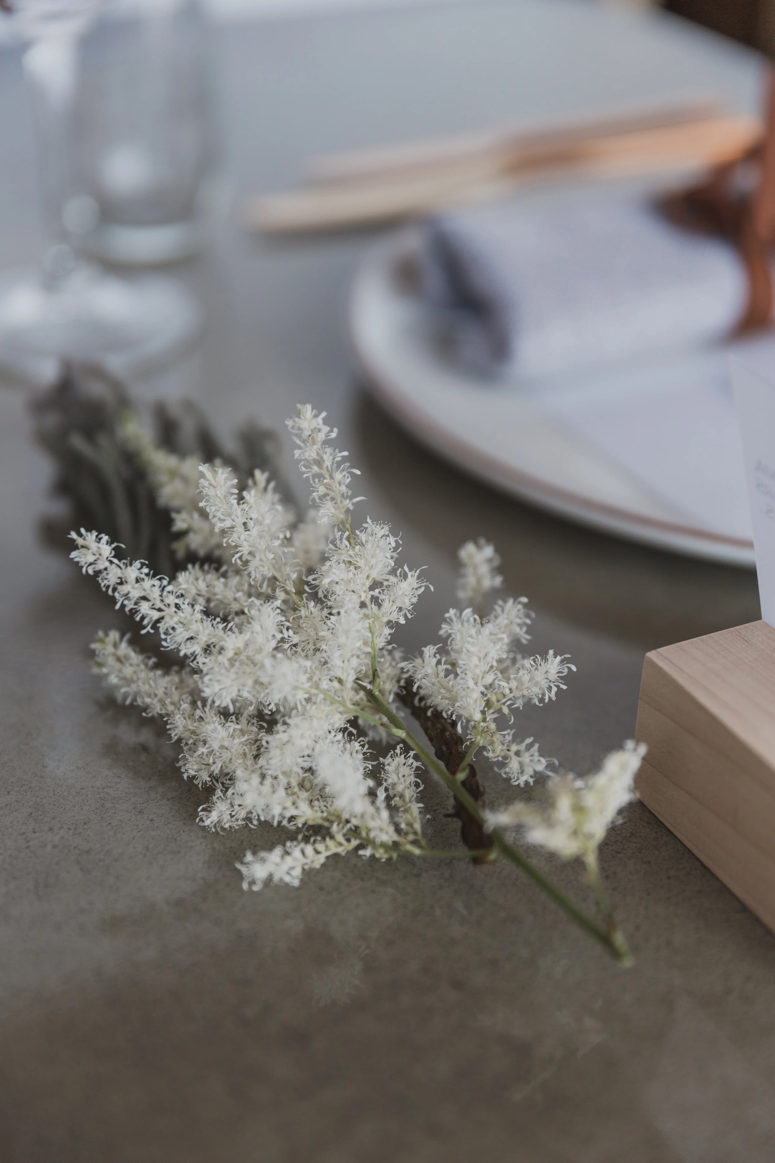 SarahWhitePhoto-43.jpg