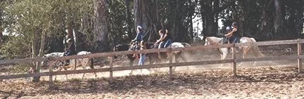 trailrideweb.jpg
