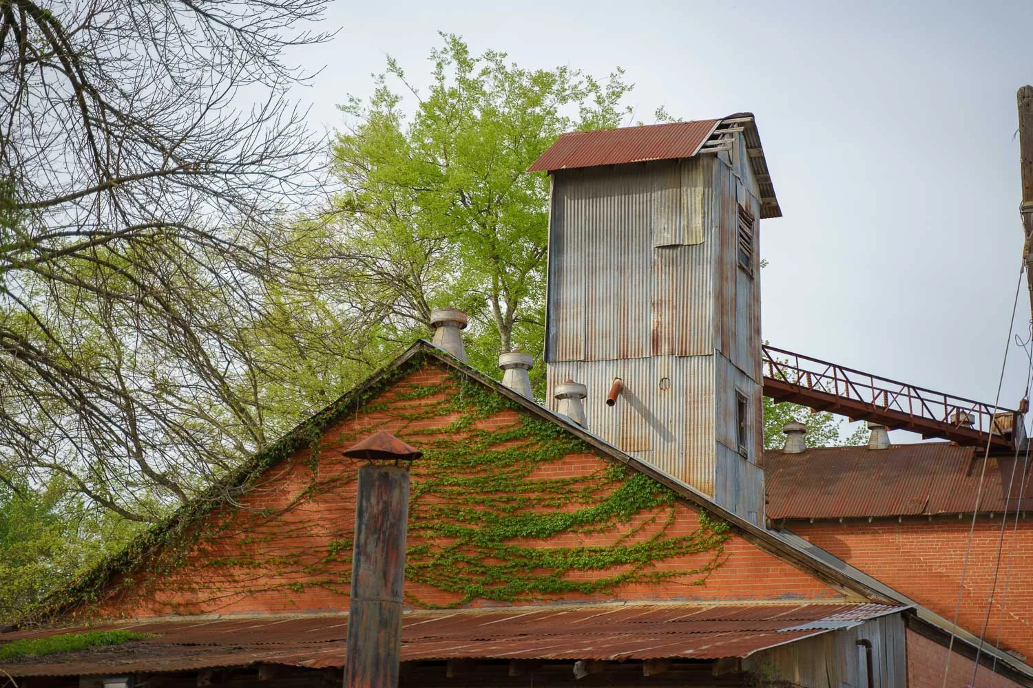 Backside of Banita Creek Hall