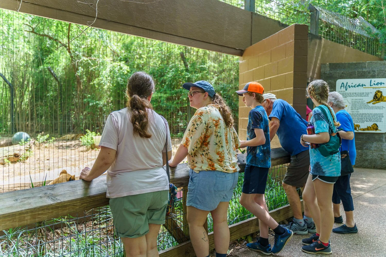It’s hard to TEAR yourself away from the lion’s enclosure. (HA, pun!) 28mm - 1/200 - f/2.8 - ISO 100