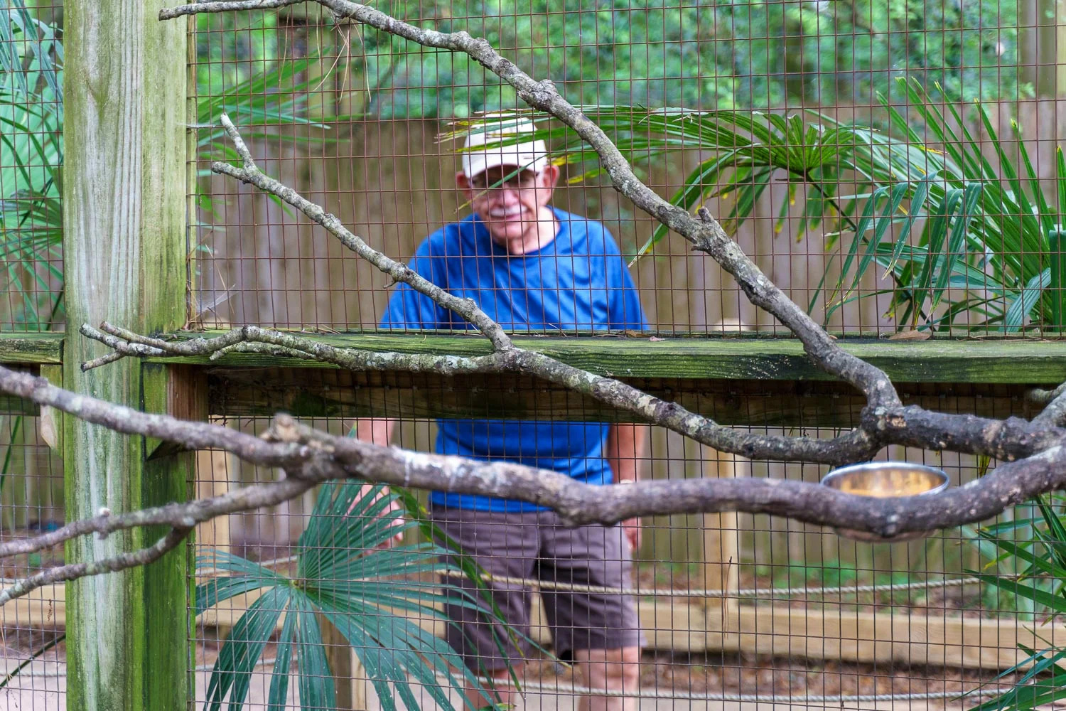 A Wild Grandpa