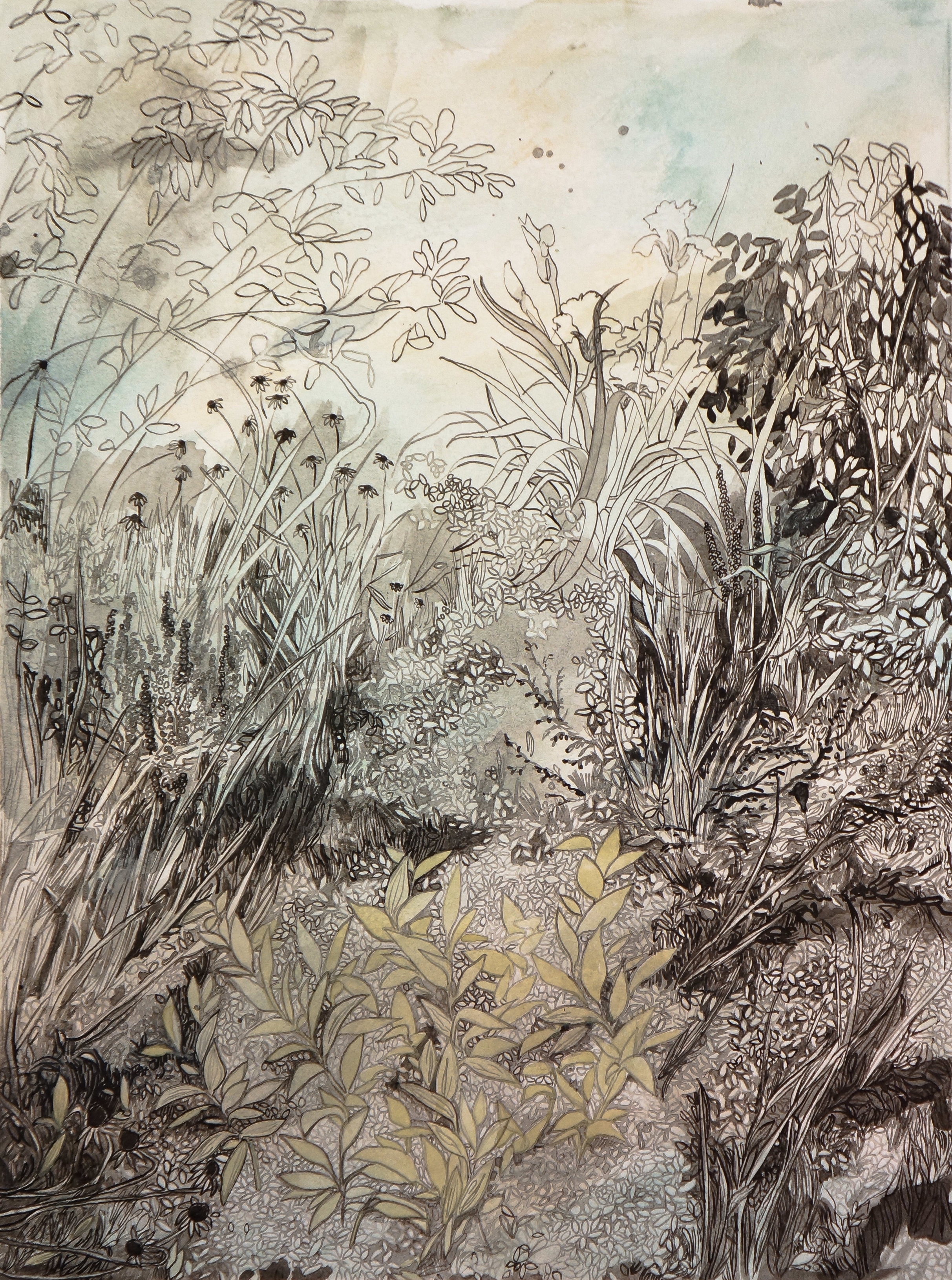  Mount Airy Garden, ink on paper, 2015 