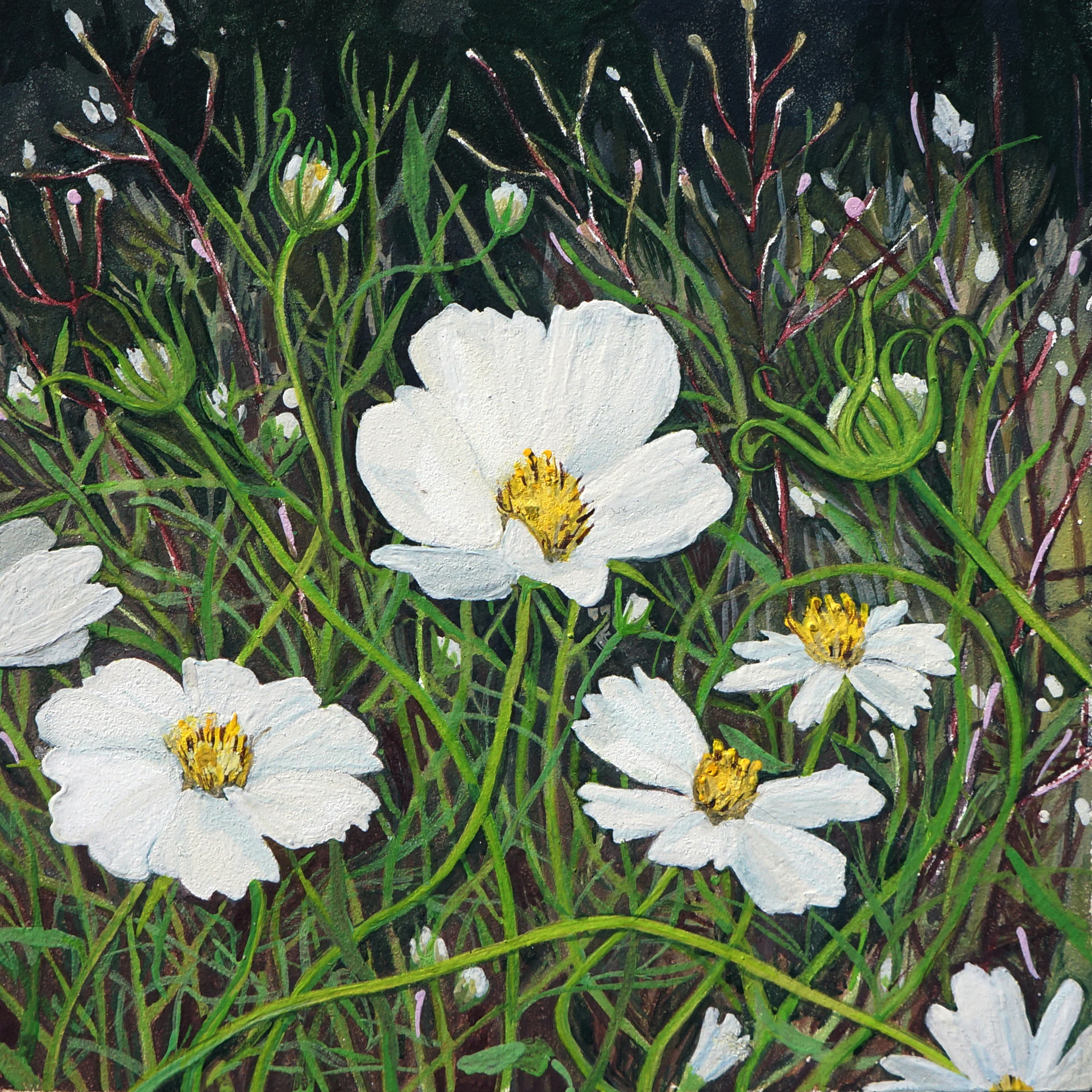 White Cosmos, gouache on panel, 4 x 4 inches (sold)