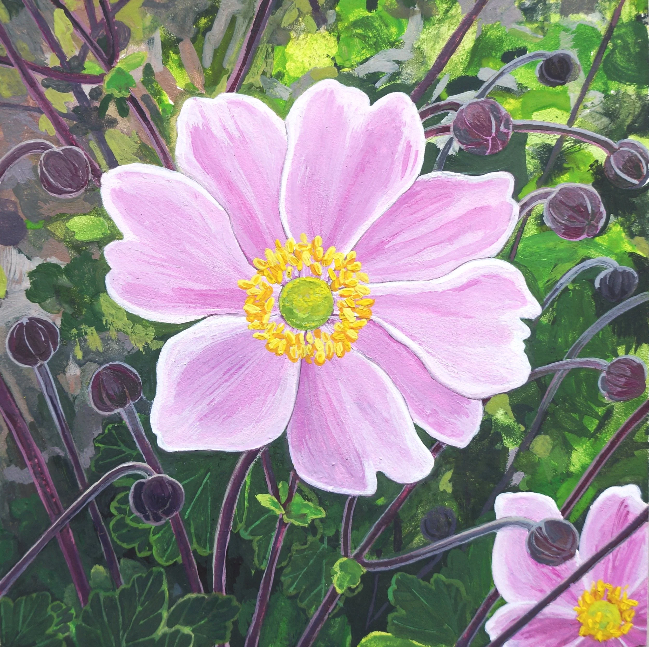 Pink Anemone II, gouache on panel, 4 x 4 inches