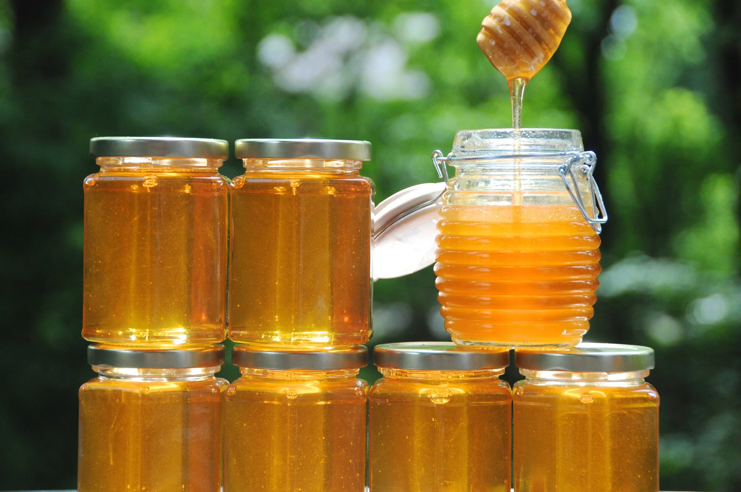 honeyjar.jpeg