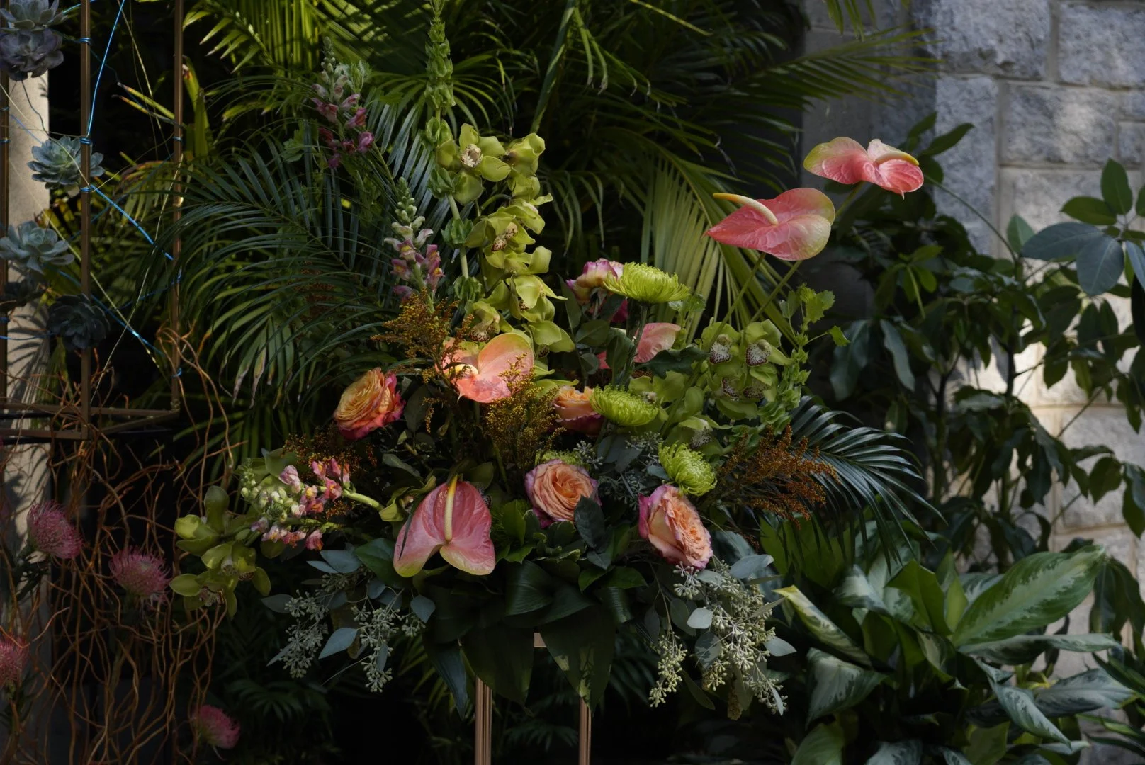 _DSC8655.JPG