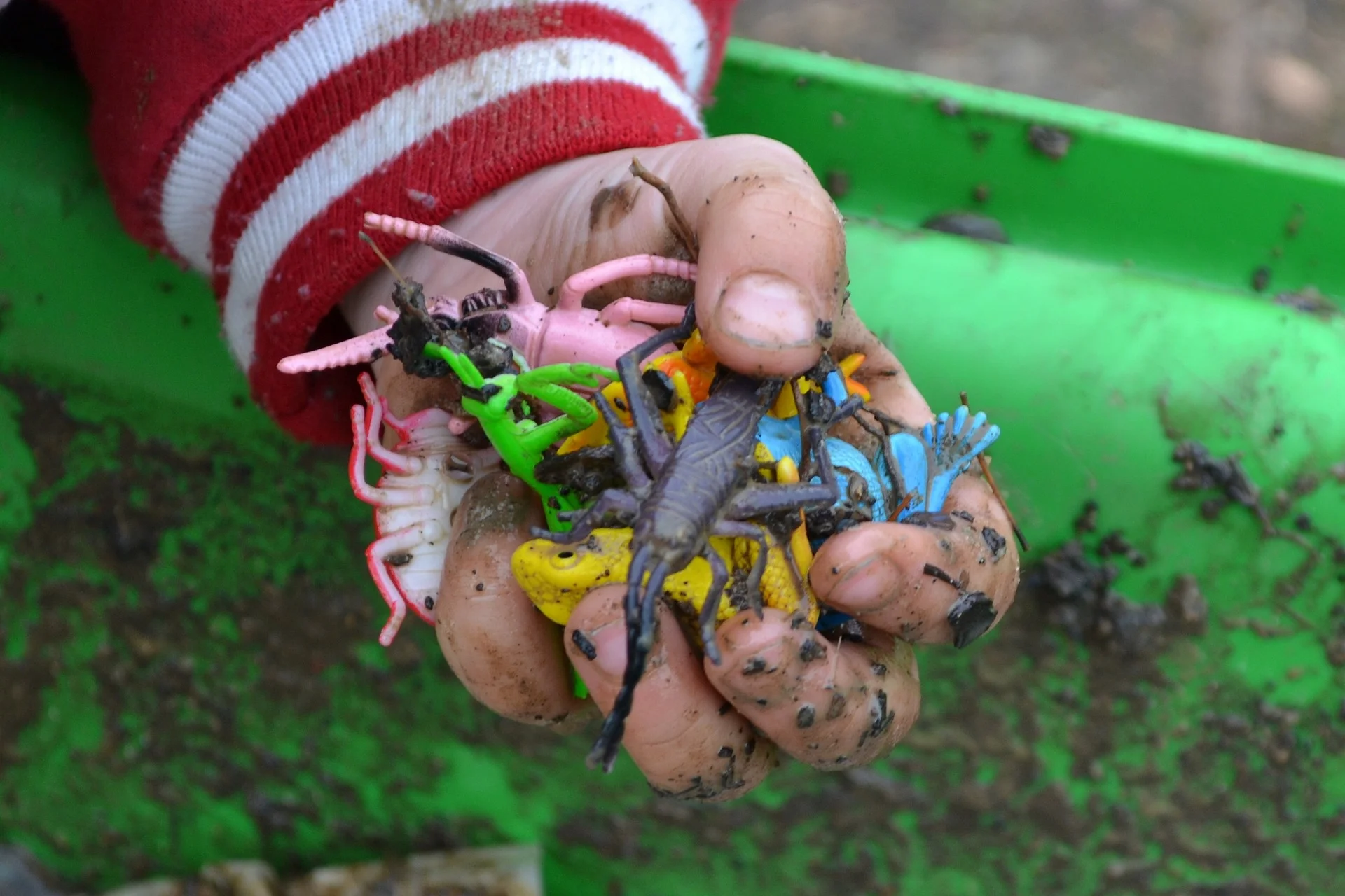 hand holding toys.jpg