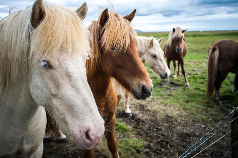    
  
 0 
 0 
 1 
 39 
 223 
 UGA 
 1 
 1 
 261 
 14.0 
  
  
 
  
    
  
 Normal 
 0 
 
 
 
 
 false 
 false 
 false 
 
 EN-US 
 JA 
 X-NONE 
 
  
  
  
  
  
  
  
  
  
  
 
 
  
  
  
  
  
  
  
  
  
  
  
  
    
  
 
 
 
 
 
 
 
 
 
 
 
 
 