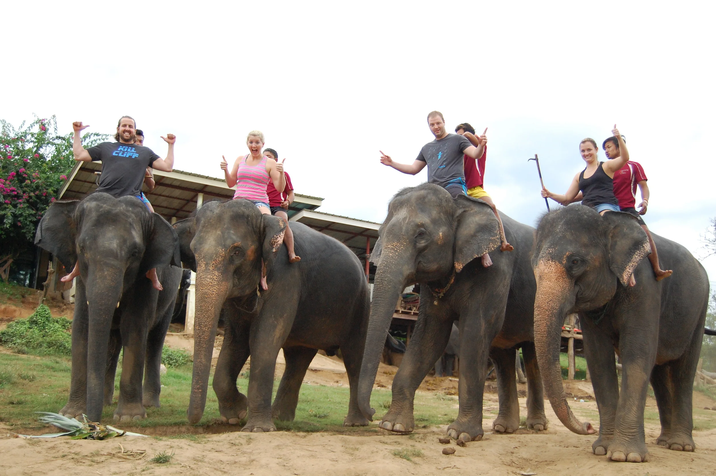  Next stop, elephant bathing. &nbsp;  Elephants are revered throughout Thailand, and daily bathing is an important part of their lives. &nbsp;   ***As far as I still know, this facility is rescuing elephants.***  