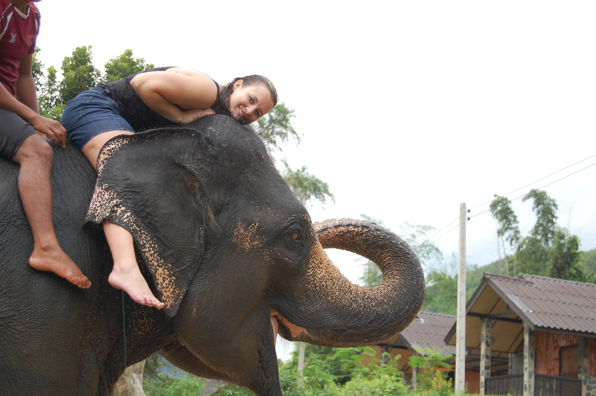  BUT, when you are swimming in the river Kwai with the elephants, do no think for one second that it's filtered, potable water. &nbsp;I swam like I was in a swimming pool; meaning, I was blowing water out my nose and ingested some of it. &nbsp;That n