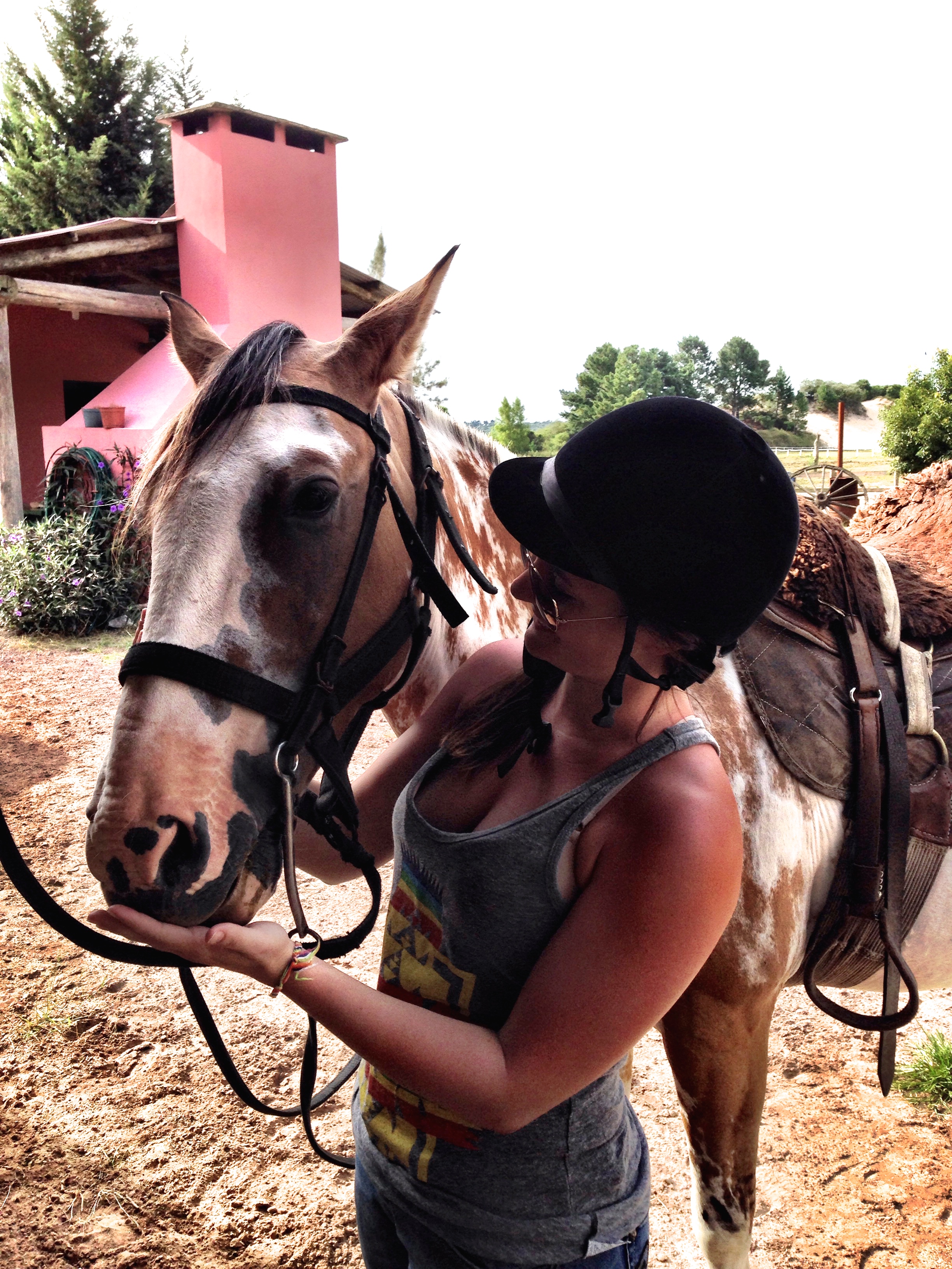  The highlight of Carmelo was the horseback riding tour. &nbsp;Having barrel raced&nbsp;as a kid (yes, I'm a redneck), my affinity for horses never went away. &nbsp;  Our guide spoke zero English, so that's always fun. &nbsp;When I finally figured ou