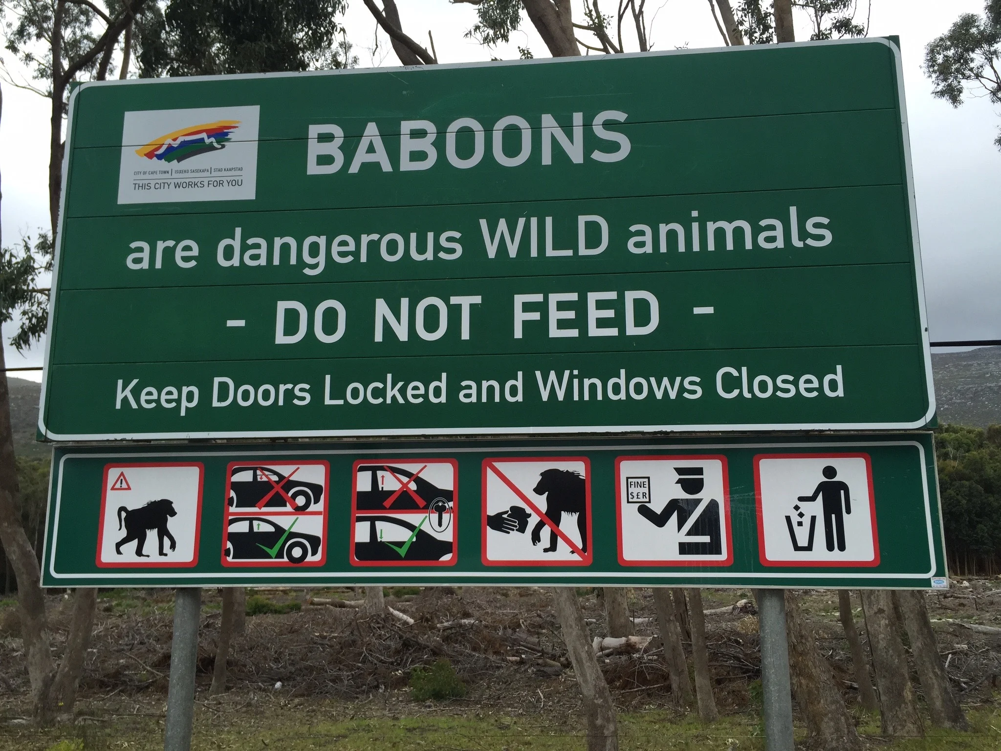  During lunch, a baboon opened the door to the restaurant, hopped on the bar, grabbed a glass full of sugar, then ran back outside and ate it. &nbsp;  Evidentially, this is an every day occurrence. &nbsp;These baboons will steal things out of your ha