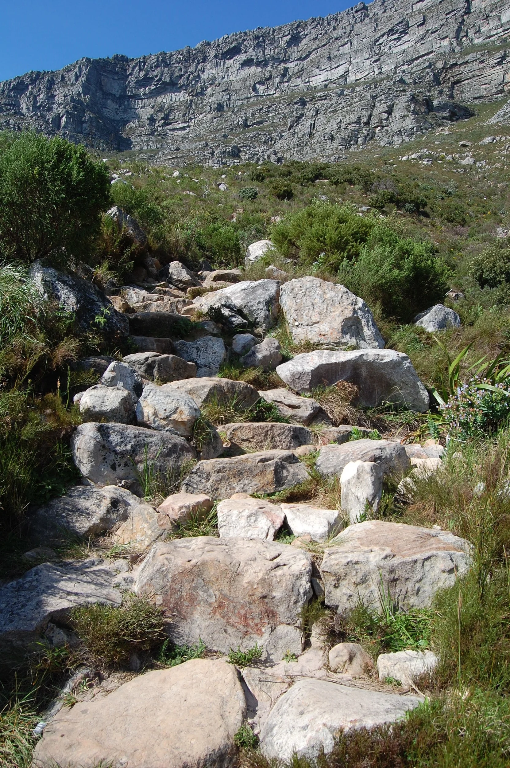  WRONG. &nbsp;First of all, there is no such thing as "hiking" Table Mountain. &nbsp;You straight-up have to rock climb to get to the top. &nbsp;These were the "steps" that were an "easy hike" to the top. &nbsp;They got steeper and steeper the higher