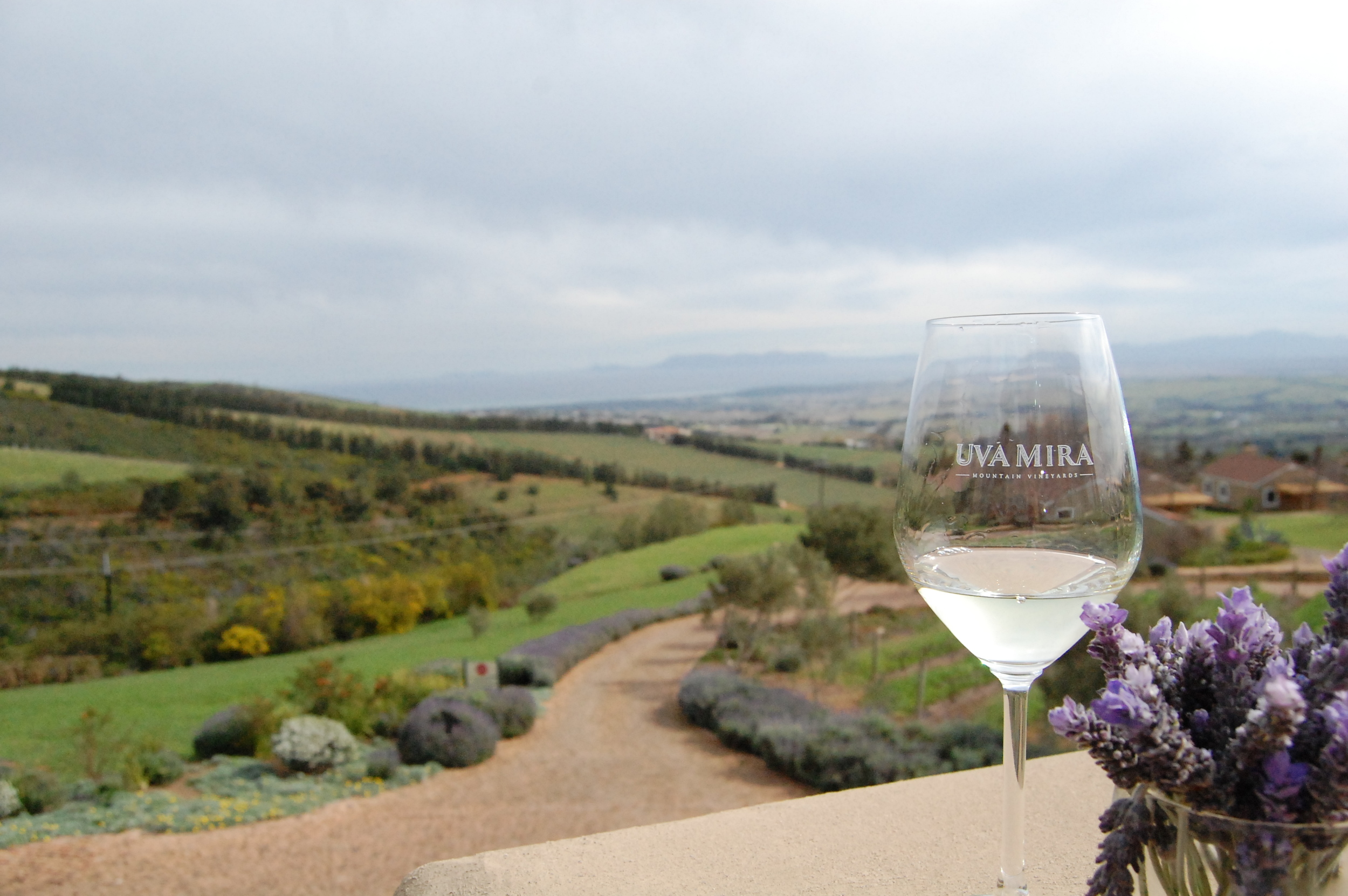  Go to  Fairview  for the goat cheese, go to  Boschendal  for the chocolate, and go to  Uva Mira  for the view. &nbsp; 