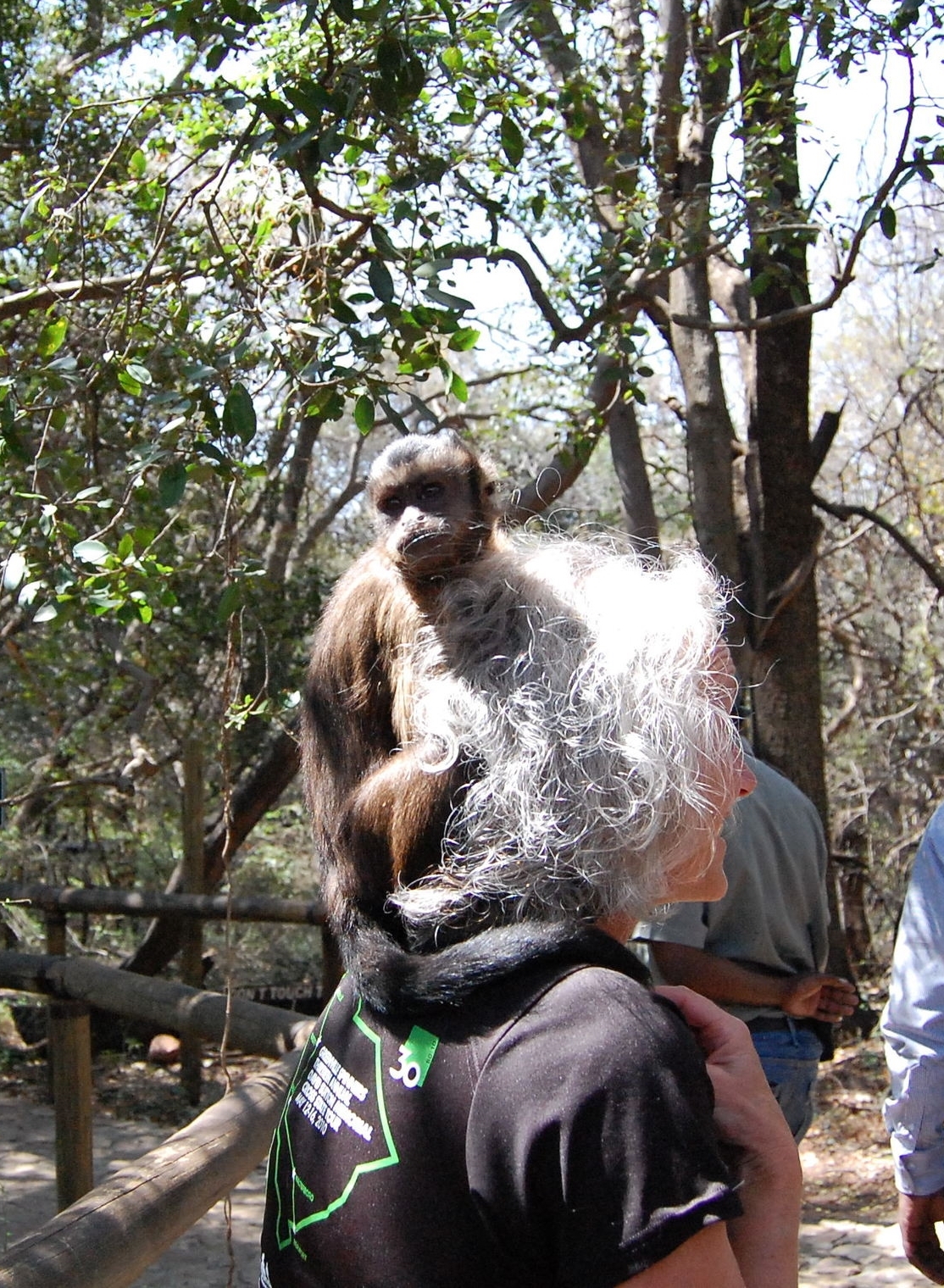 Johannesburg, South Africa