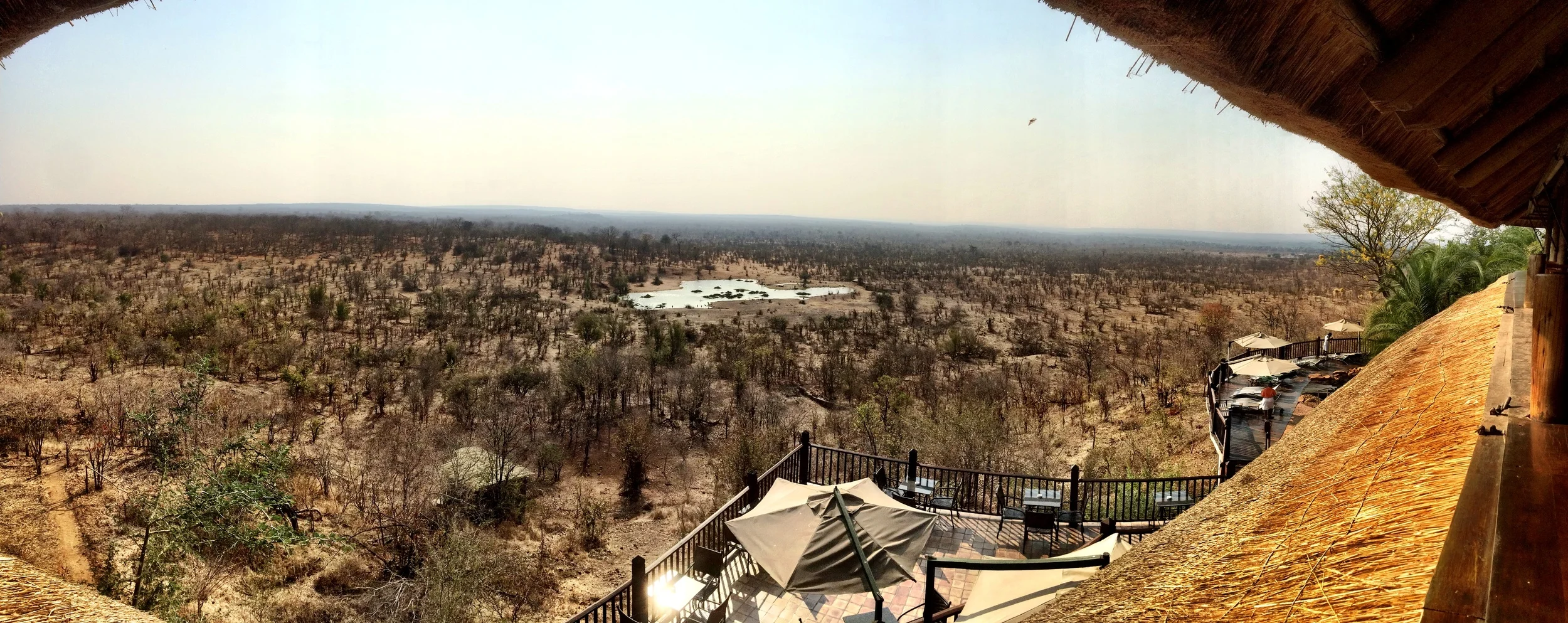  When planning an African safari, you need to consider whether you want to go in the dry season or the wet season. &nbsp;There are pros and cons to both. &nbsp;  In the dry season, wildlife heavily relies on waterholes to survive. &nbsp;Our first cou