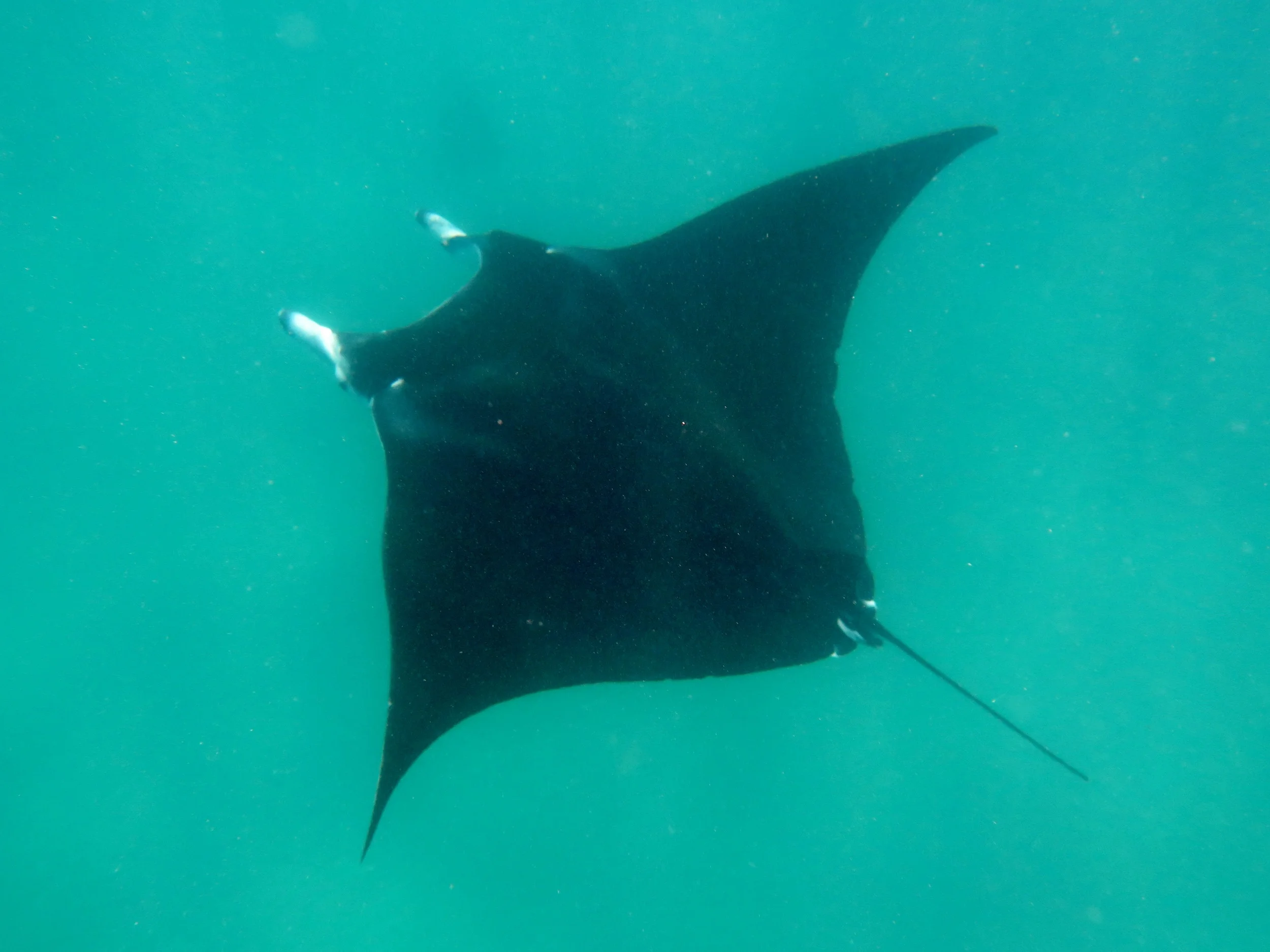  PS - invest in a  GoPro.  &nbsp; 