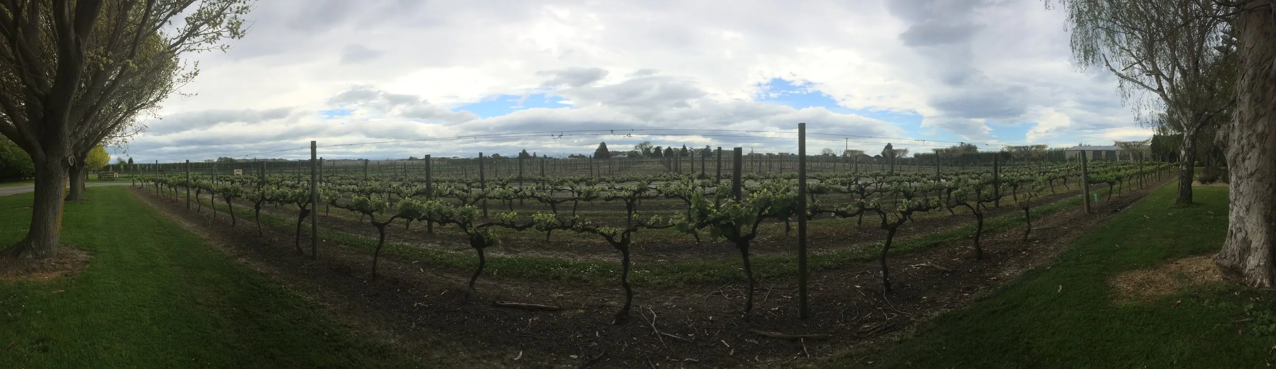  Most people know NZ for wine that comes out of the  Marlborough &nbsp;region in the South Island. &nbsp;But, if you prefer red wine over white,  Hawkes Bay  is the place to be. &nbsp; 