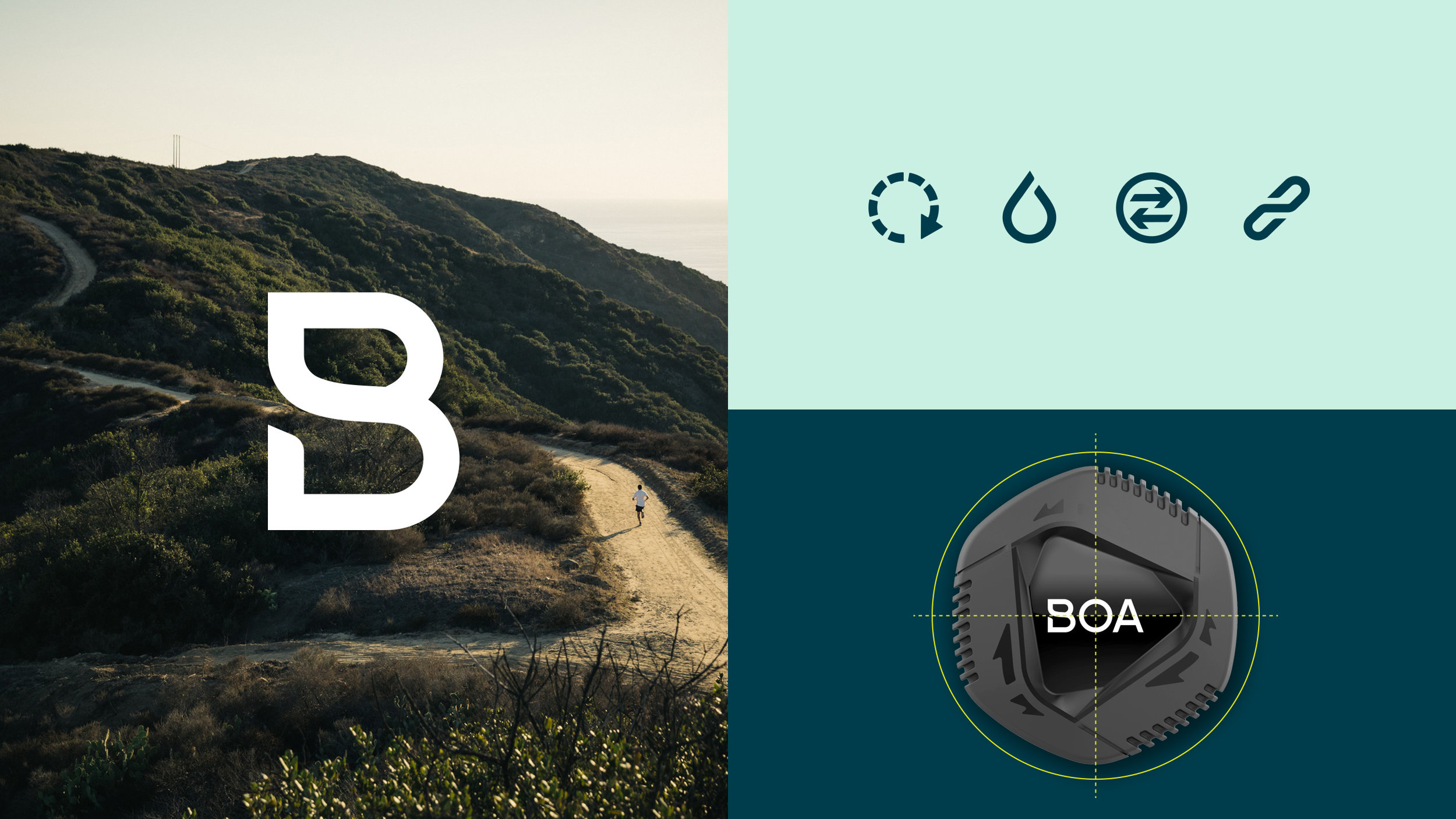 Boa_B_Icons.jpg