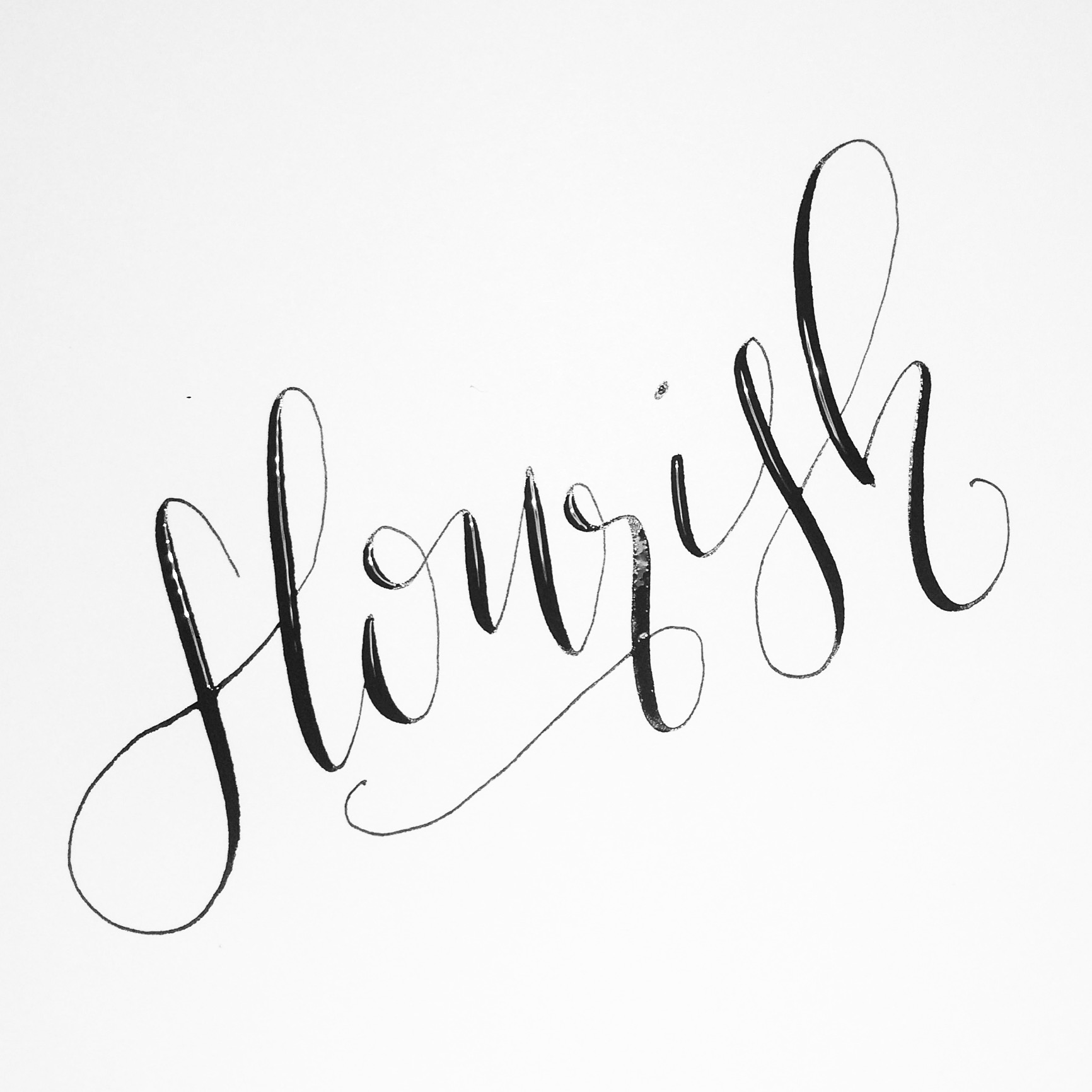 flourish-calligraphy.png