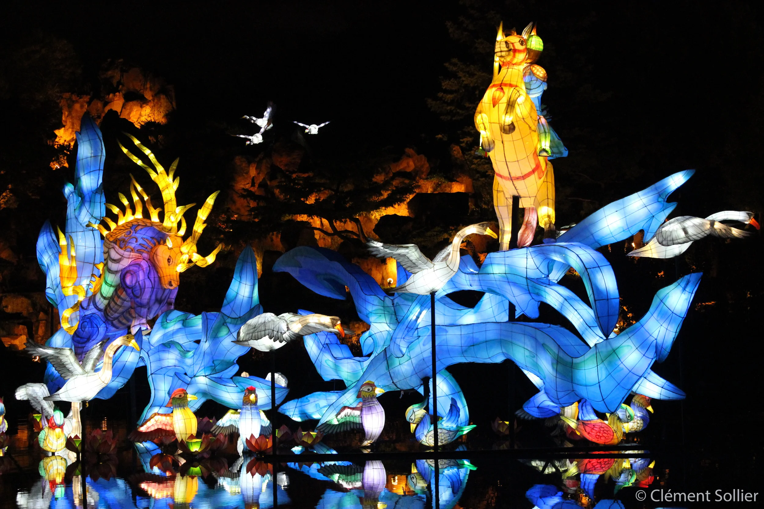 Le Jardin des lumières