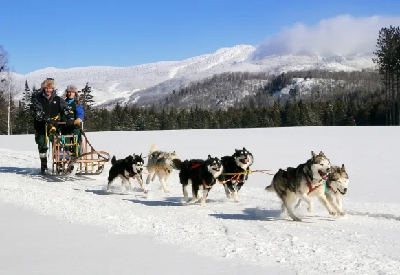 Activités d'hiver 2018