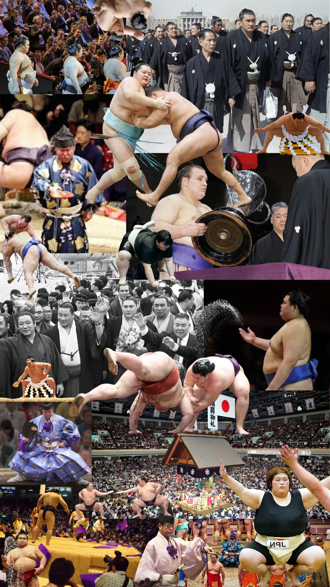 相撲…そして論争 « Sumō… et controverse »