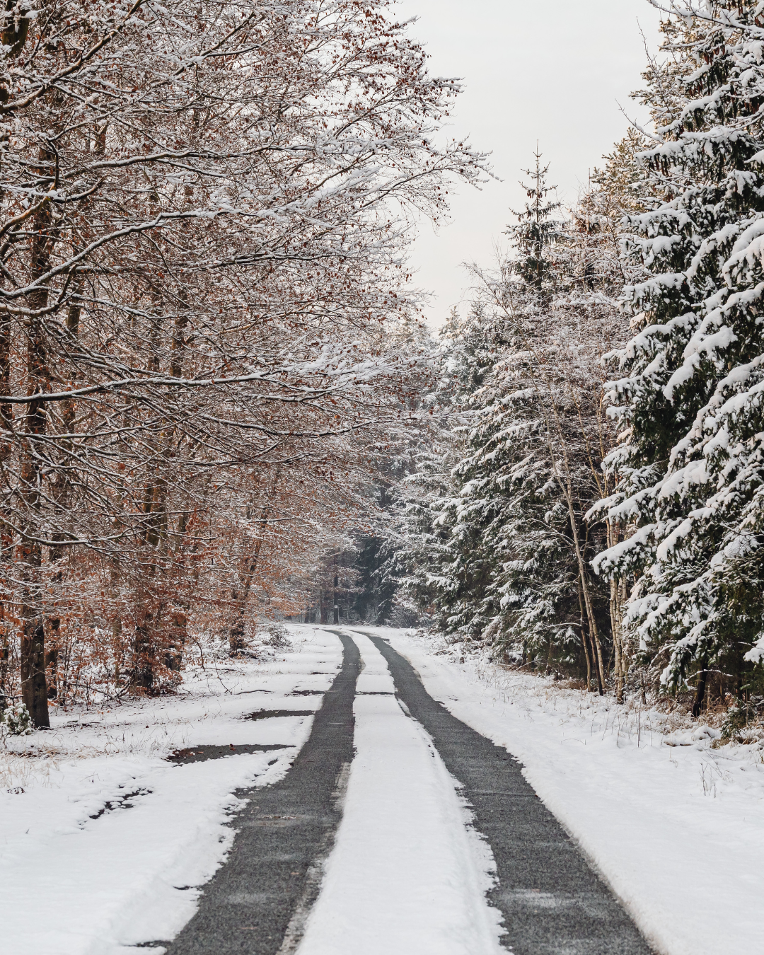 COMMEDIA COUVERTURE (4).png