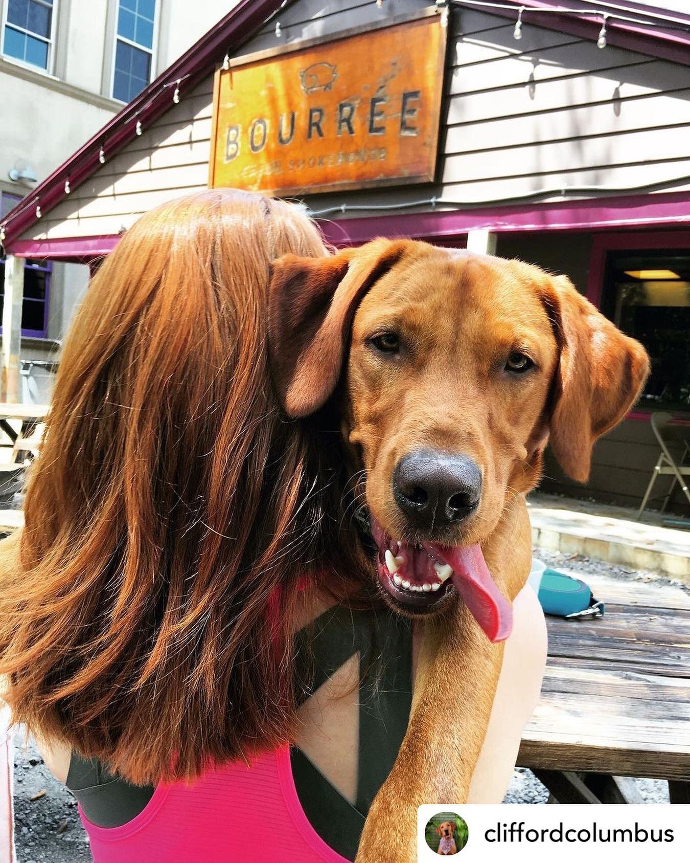 Perfect weather for outdoor munchies &mdash; furry friends, you&rsquo;re invited too! ➡️ Repost @cliffordcolumbus: &ldquo;BRB gotta eat some BBQ 🍗 🍖 😋&rdquo;