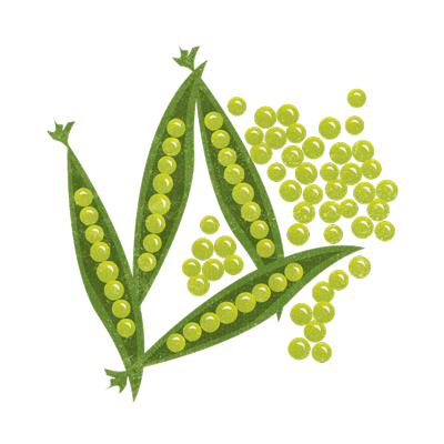 peas.png