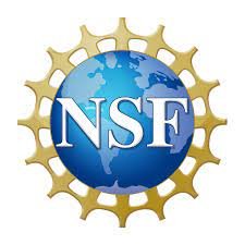 NSF-logo.jpeg