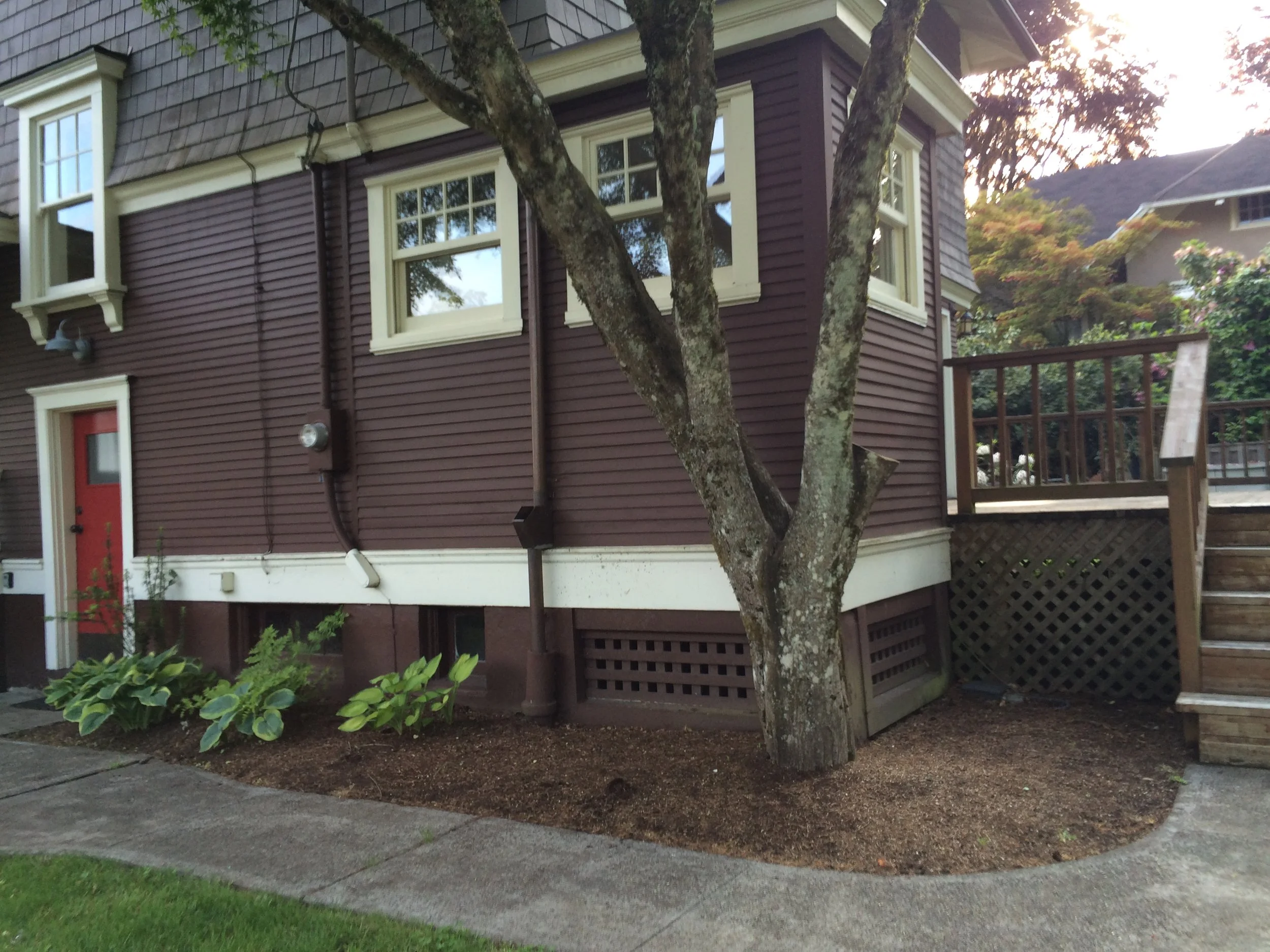 The tree is VERY tight to the house. We needed to add a beam to keep the foundation away from the root structure