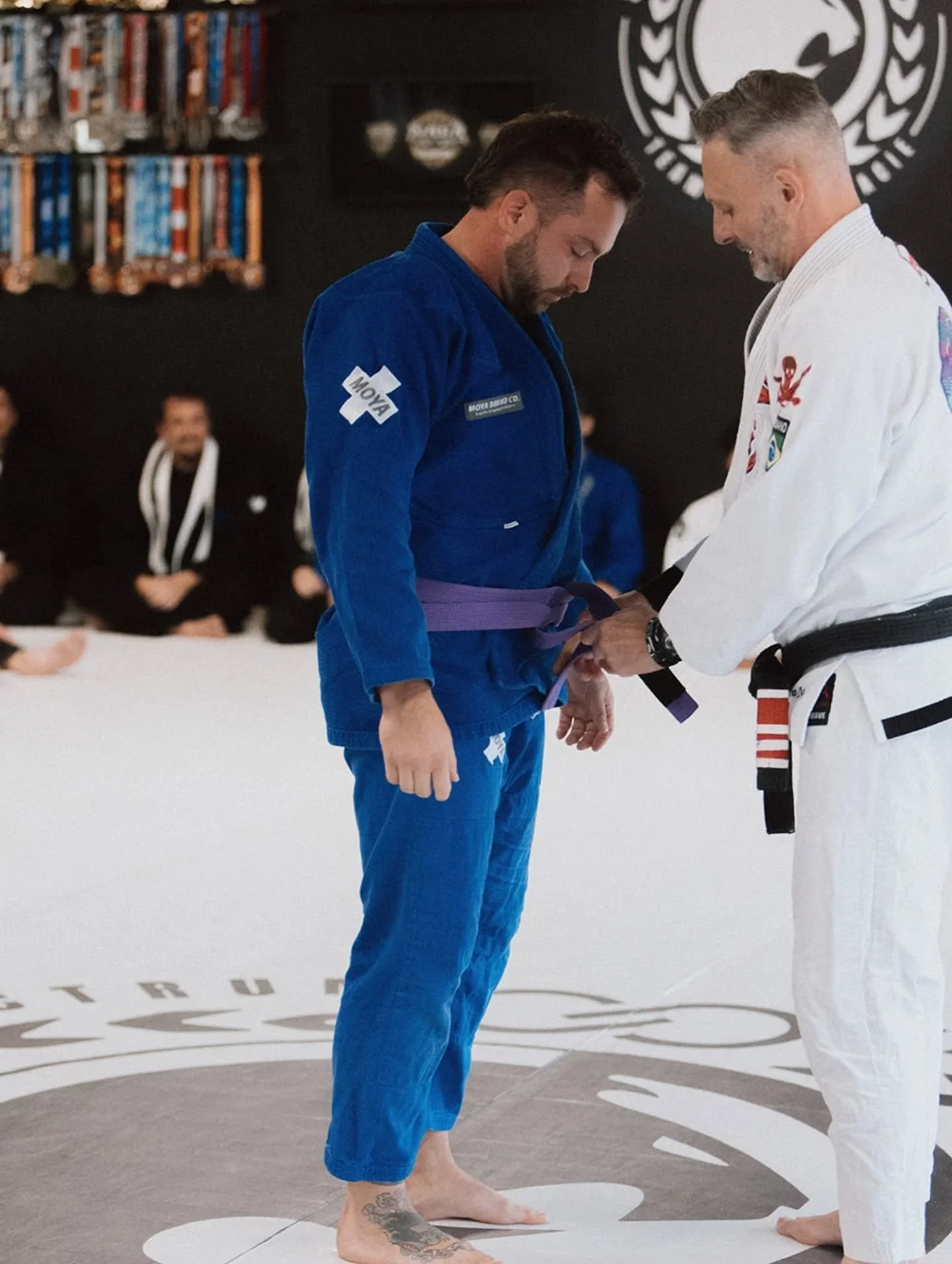 DYLAN // PURPLE BELT