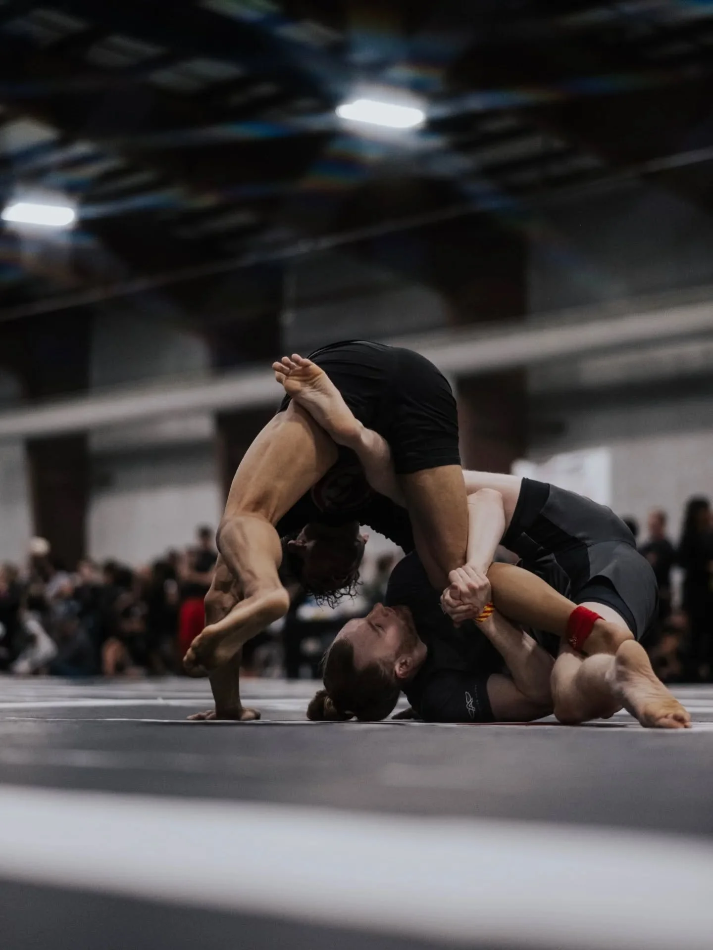 ATHLETE SPOTLIGHT // RAY MILLER // ADCC NEW JERSEY OPEN 

📸: @caitxclarke