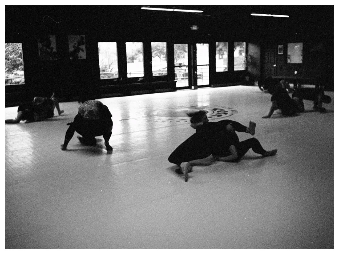 PROGRAM SPOTLIGHT // NOGI 

📸: @timhuck_