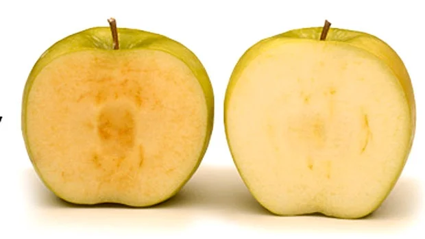arctic-apple.jpg
