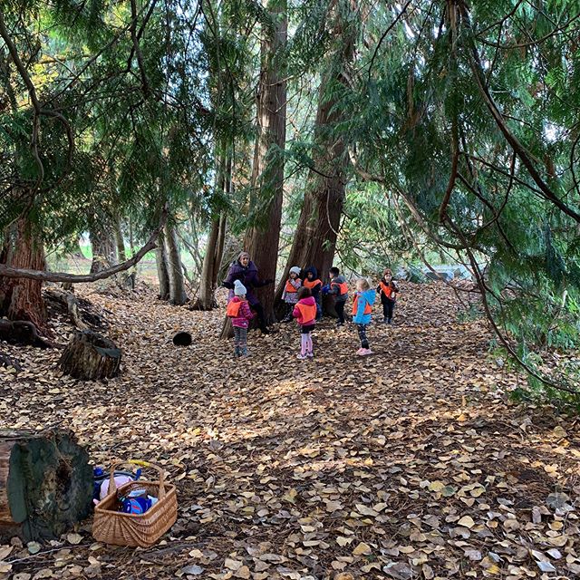 “Ooh! I love this place!” a child exclaims excitedly. Spending the class outside, we are reminded of the importance of revisiting our natural spaces outside, through the changing seasons. Interested in registering your child? Space available in Birch