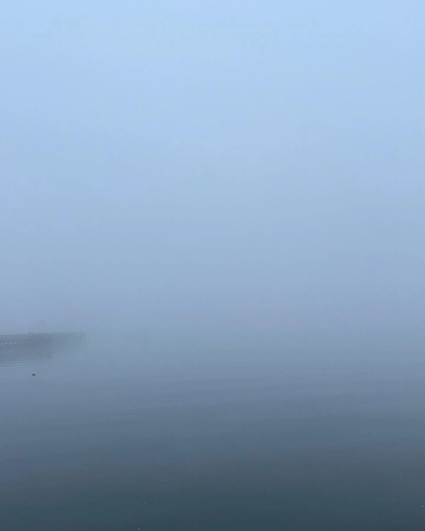 A chilly, dry day to go exploring in the foggy weather. &ldquo;What is Fog.&rdquo;
- Where did the mountains go? They must be hiding behind the fog. 
- fog comes from the sky
- it&rsquo;s clear (when asked what color is the fog)
- I can only see a li