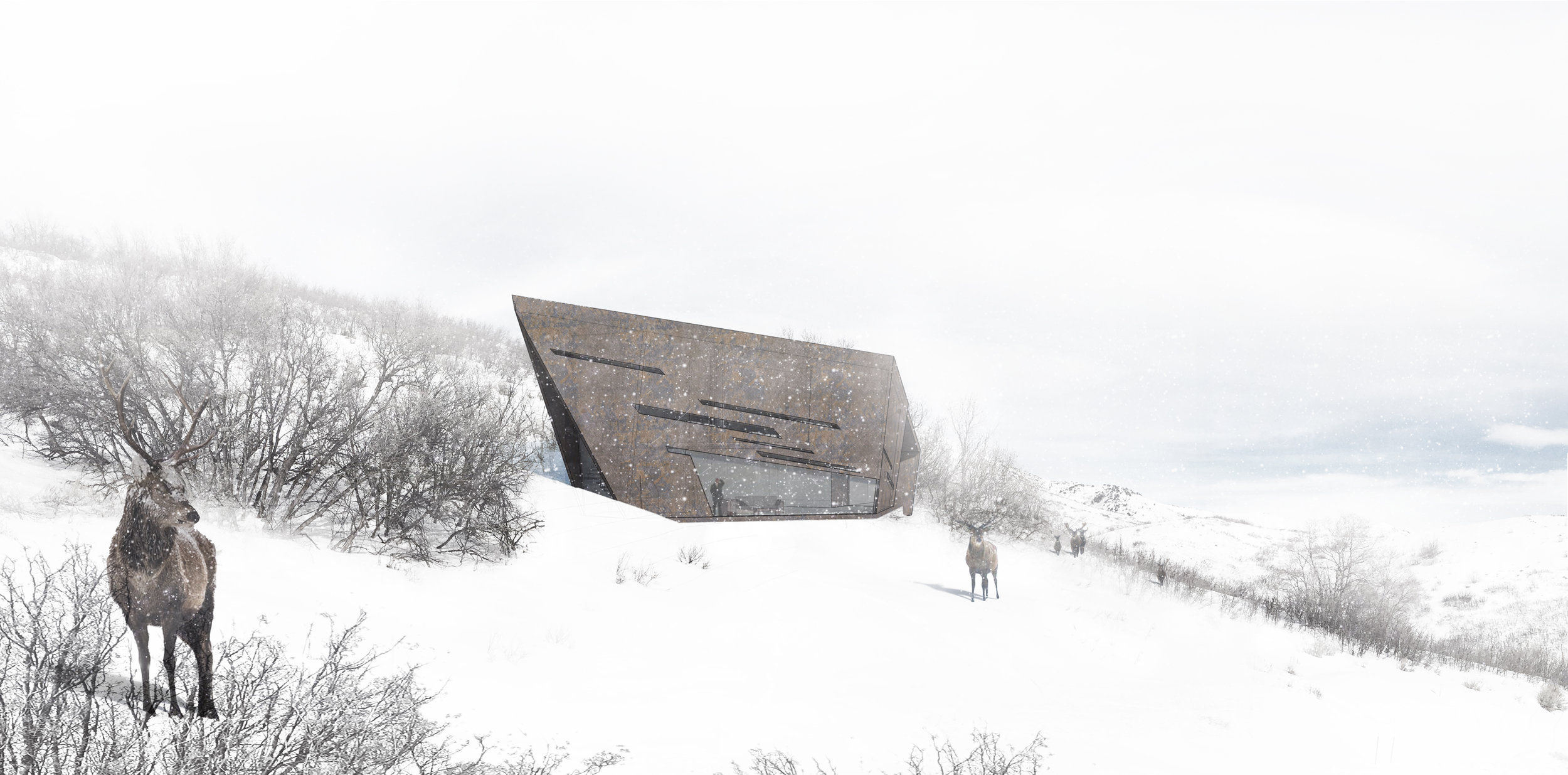 SparanoMooneyArchitecture_PulsarHouse_Exterior2.jpg