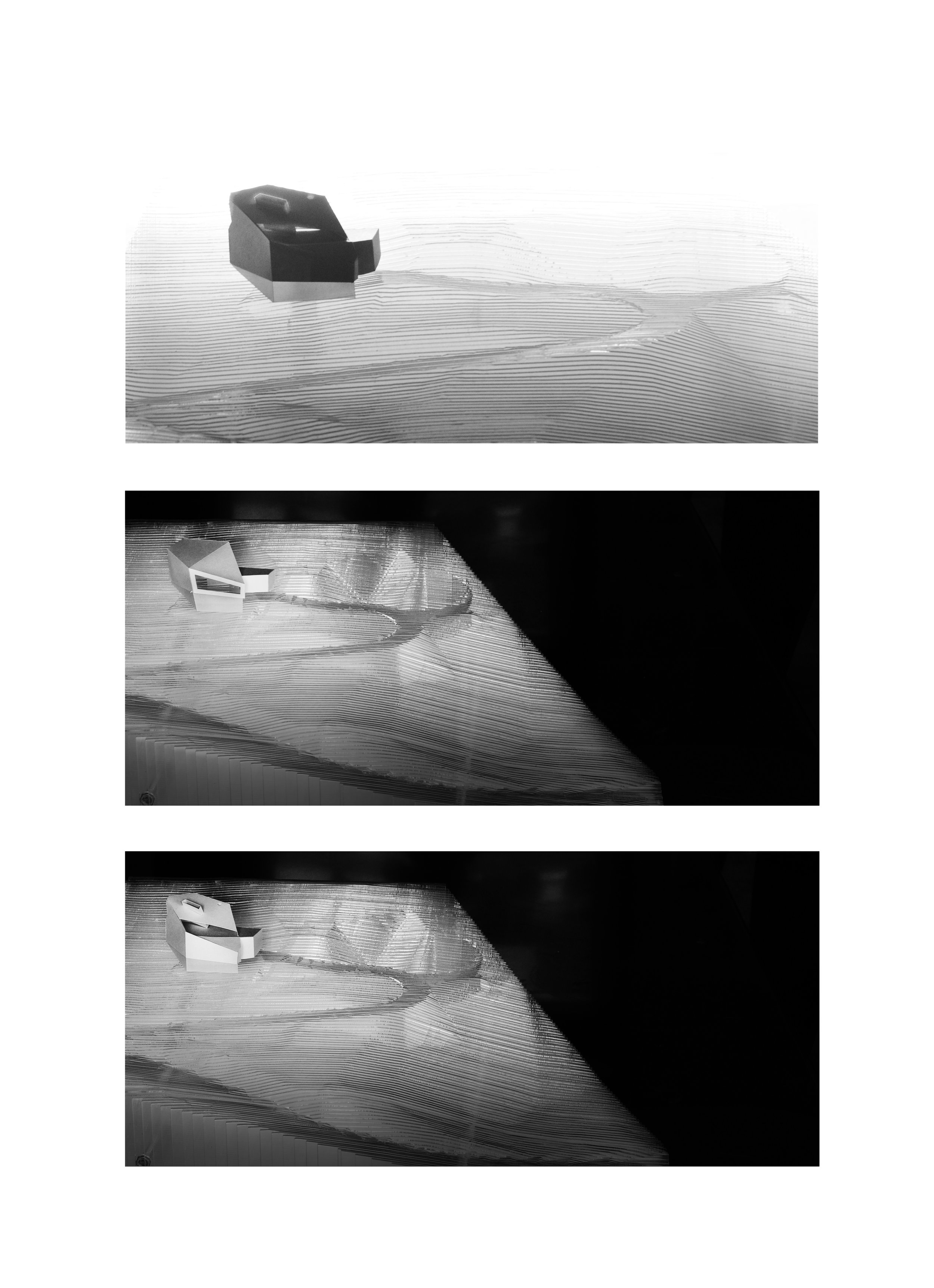 SparanoMooneyArchitecture_PulsarHouse_Model1.jpg