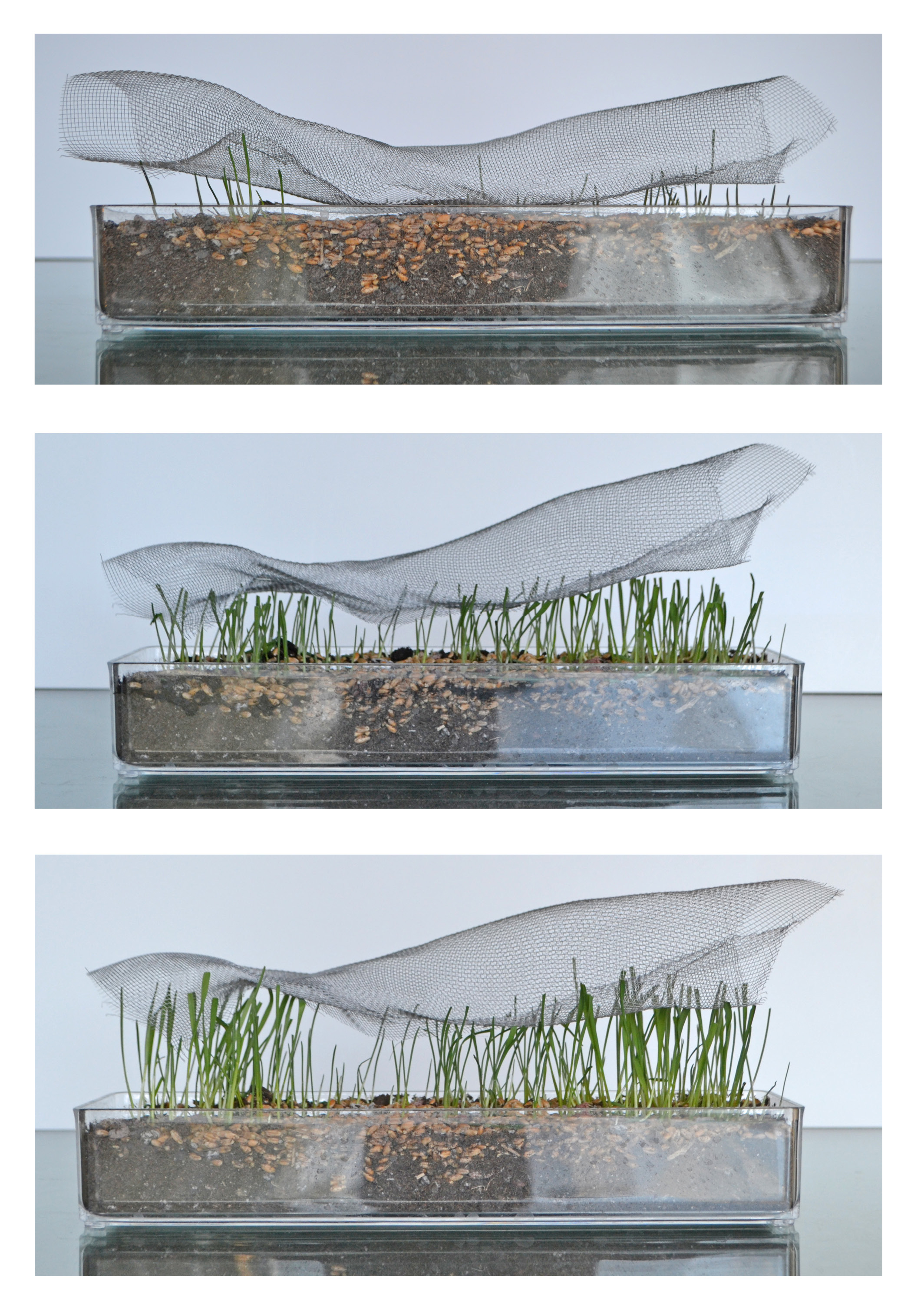 SparanoMooneyArchitecture_Chandler Residence_Concept Model6.jpg