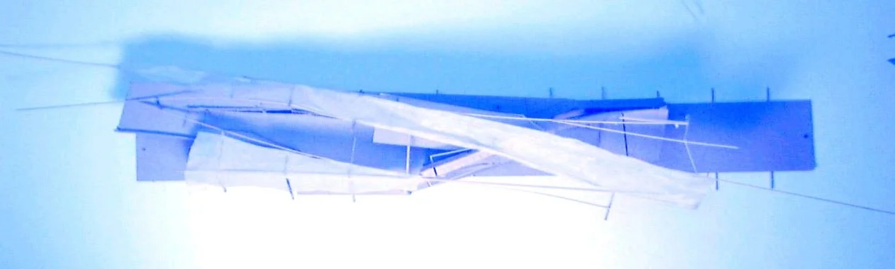 Anne is AIA Western Regional Young Architect of the Year